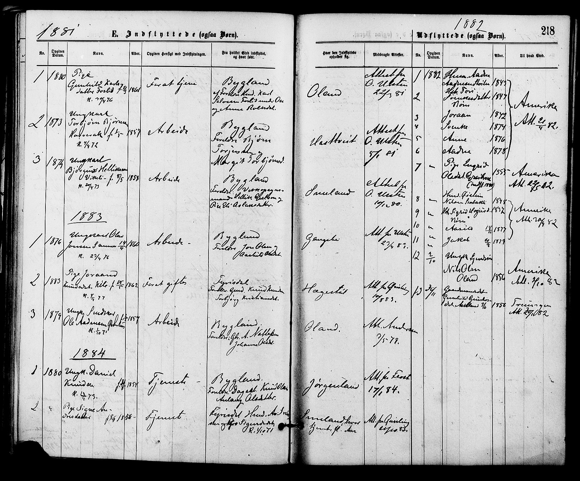 Åmli sokneprestkontor, AV/SAK-1111-0050/F/Fa/Fac/L0009: Parish register (official) no. A 9 /2, 1869-1884, p. 218