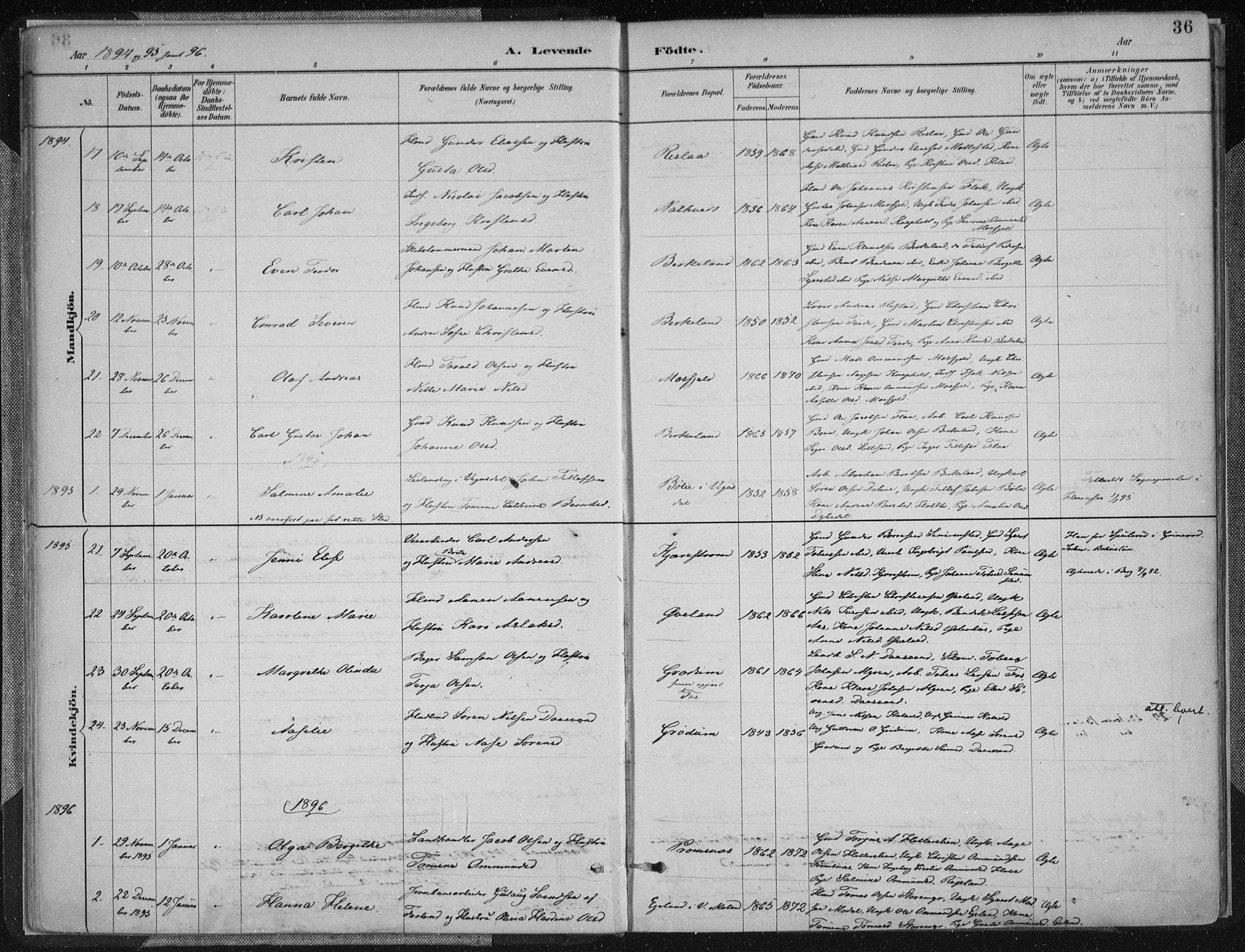 Birkenes sokneprestkontor, SAK/1111-0004/F/Fa/L0005: Parish register (official) no. A 5, 1887-1907, p. 36
