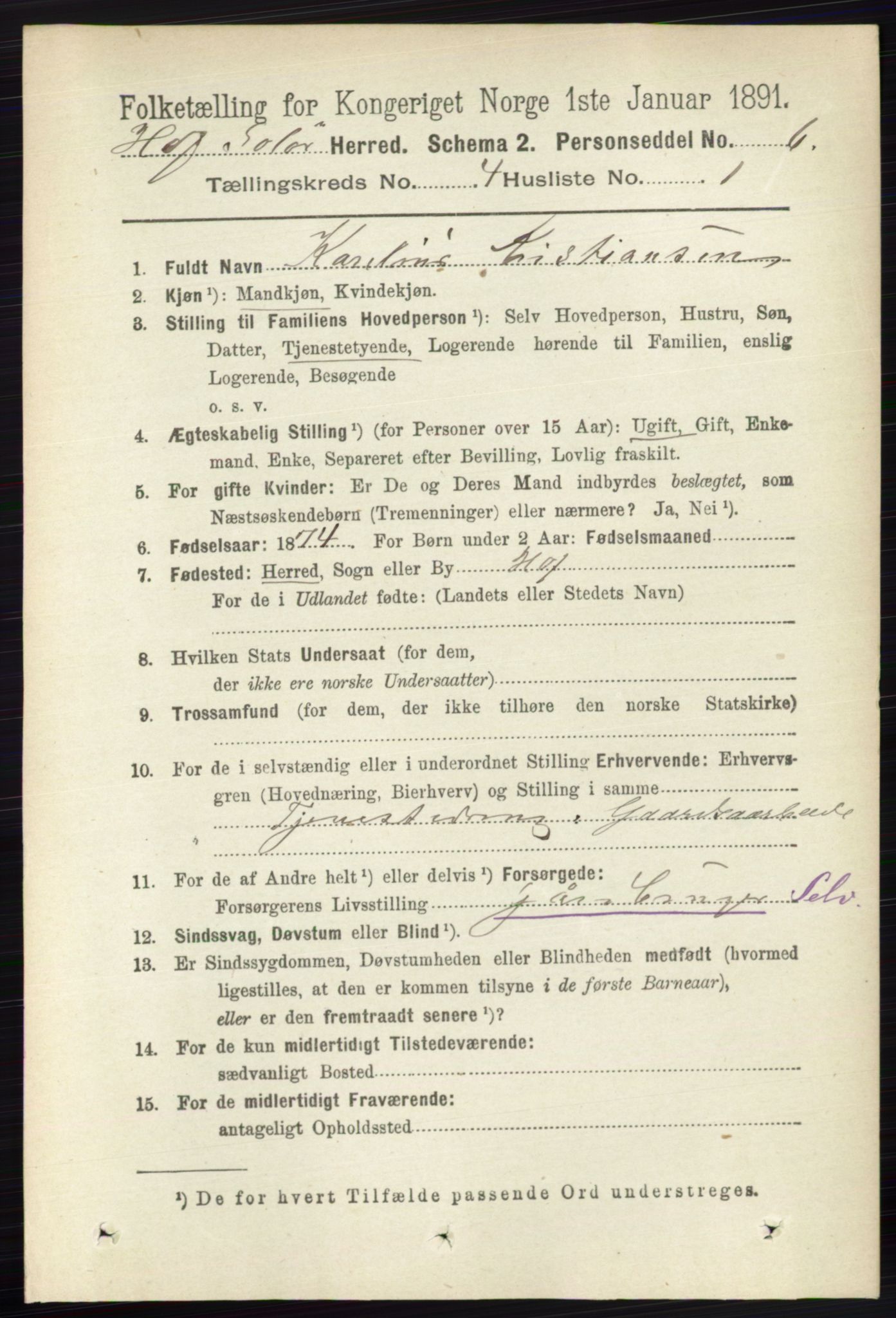 RA, 1891 census for 0424 Hof, 1891, p. 1445