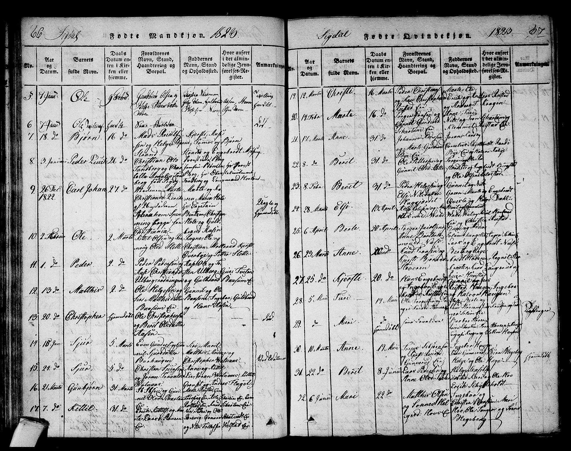 Sigdal kirkebøker, AV/SAKO-A-245/F/Fa/L0005: Parish register (official) no. I 5 /1, 1815-1829, p. 66-67