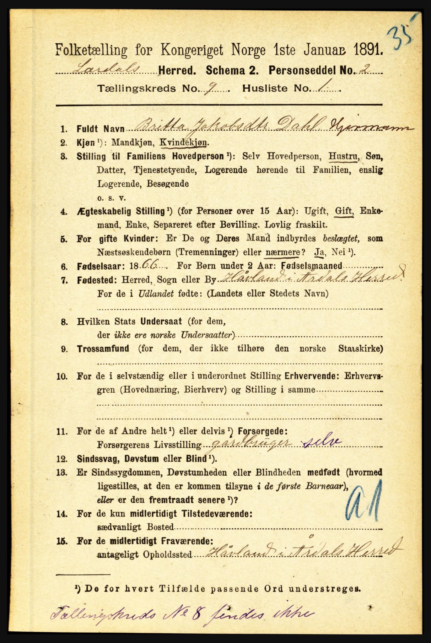 RA, 1891 census for 1422 Lærdal, 1891, p. 1381