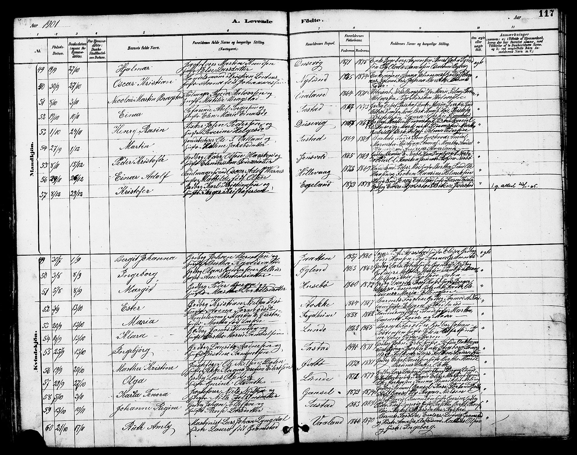 Hetland sokneprestkontor, AV/SAST-A-101826/30/30BB/L0005: Parish register (copy) no. B 5, 1878-1910, p. 117