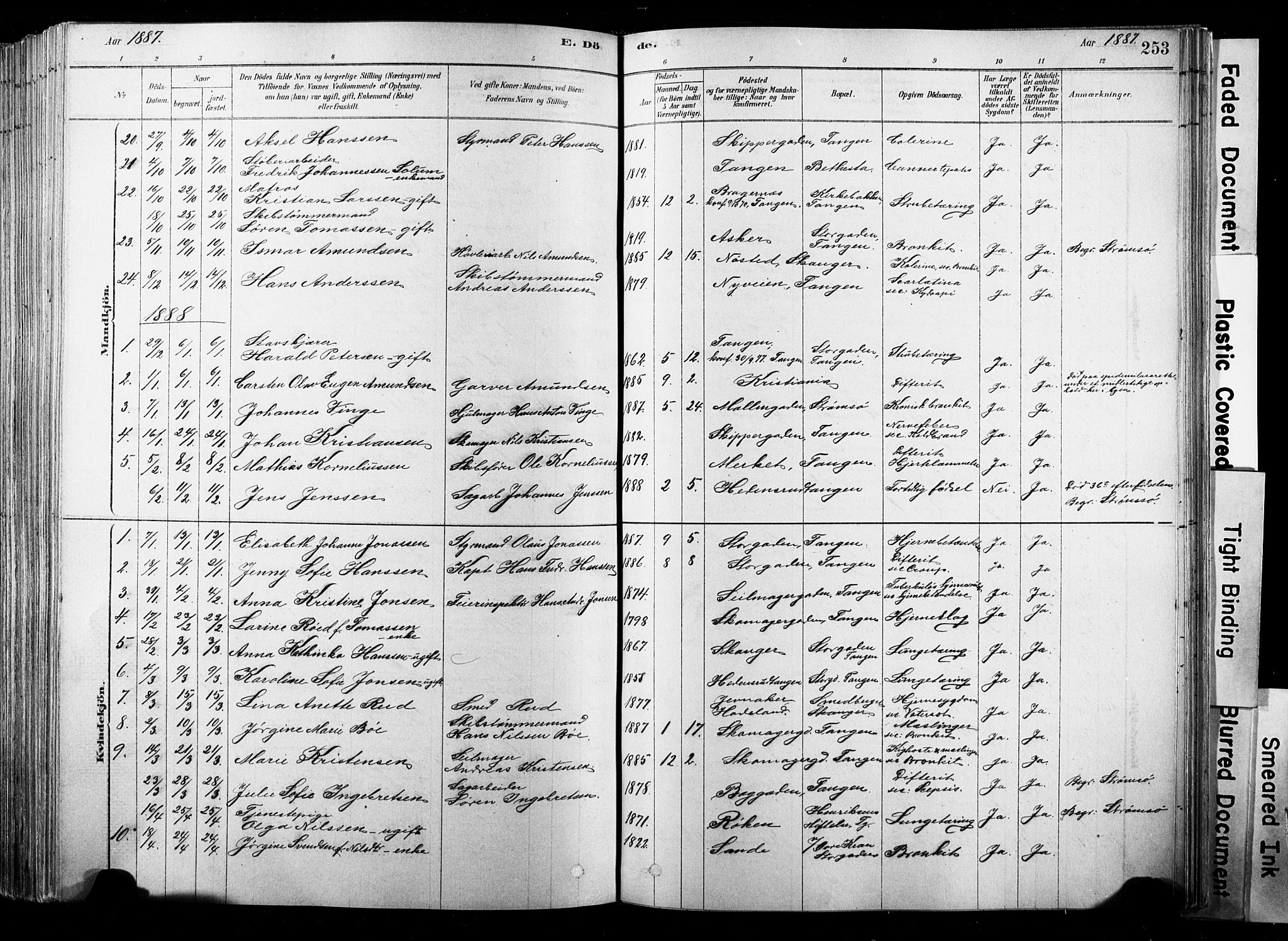 Strømsø kirkebøker, SAKO/A-246/F/Fb/L0006: Parish register (official) no. II 6, 1879-1910, p. 253