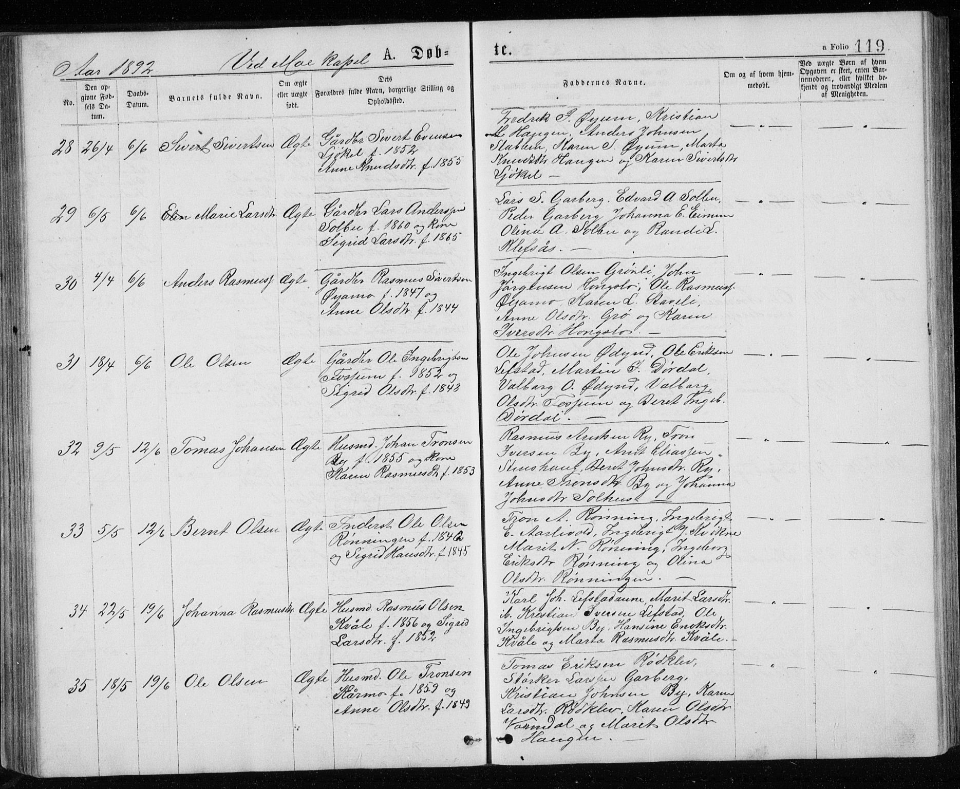 Ministerialprotokoller, klokkerbøker og fødselsregistre - Sør-Trøndelag, SAT/A-1456/671/L0843: Parish register (copy) no. 671C02, 1873-1892, p. 119