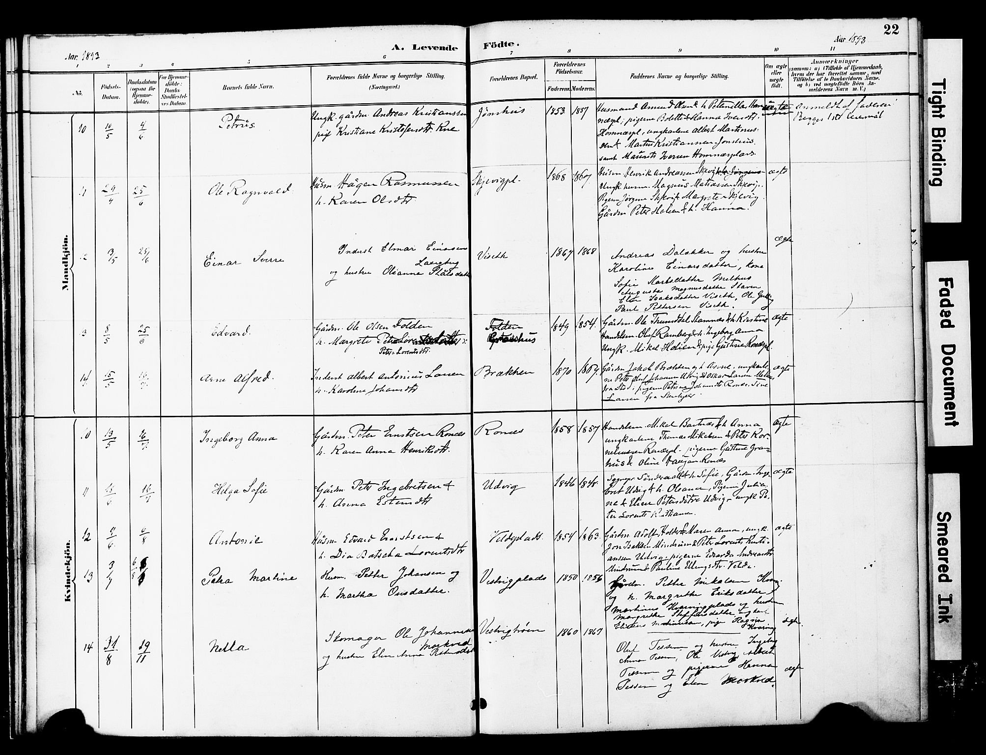 Ministerialprotokoller, klokkerbøker og fødselsregistre - Nord-Trøndelag, SAT/A-1458/741/L0396: Parish register (official) no. 741A10, 1889-1901, p. 22