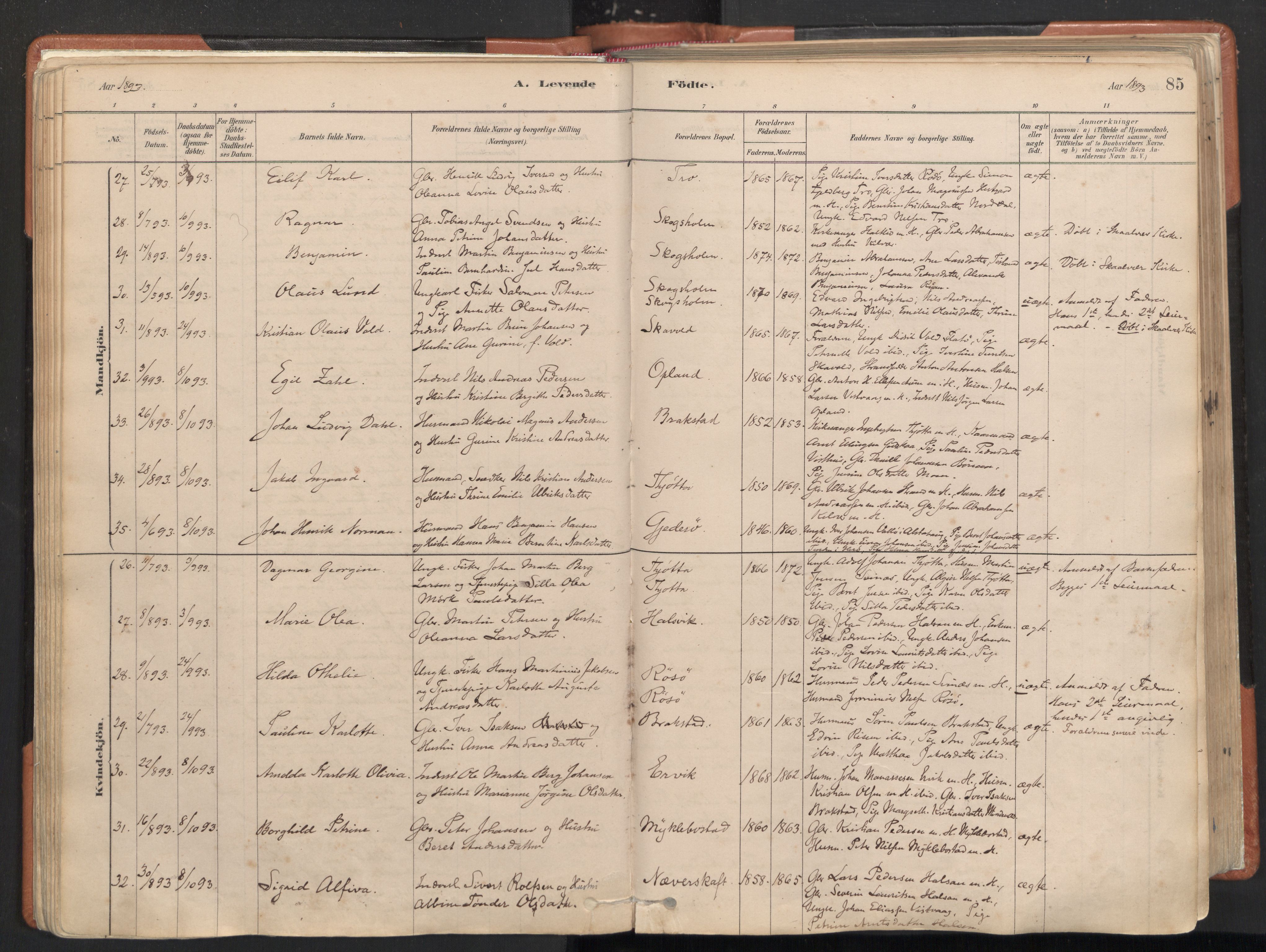 Ministerialprotokoller, klokkerbøker og fødselsregistre - Nordland, AV/SAT-A-1459/817/L0264: Parish register (official) no. 817A04, 1878-1907, p. 85