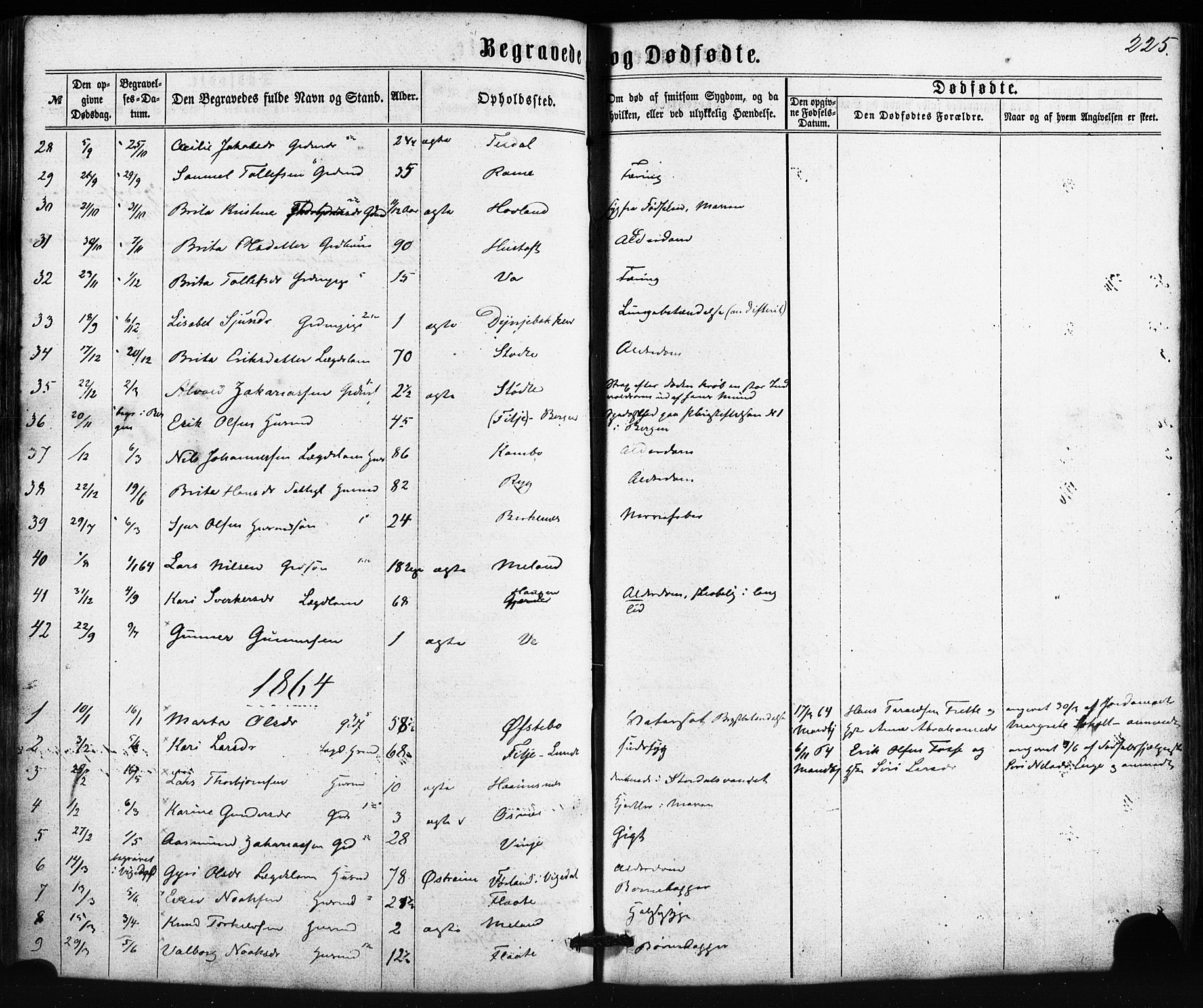 Etne sokneprestembete, AV/SAB-A-75001/H/Haa: Parish register (official) no. A 9, 1862-1878, p. 225