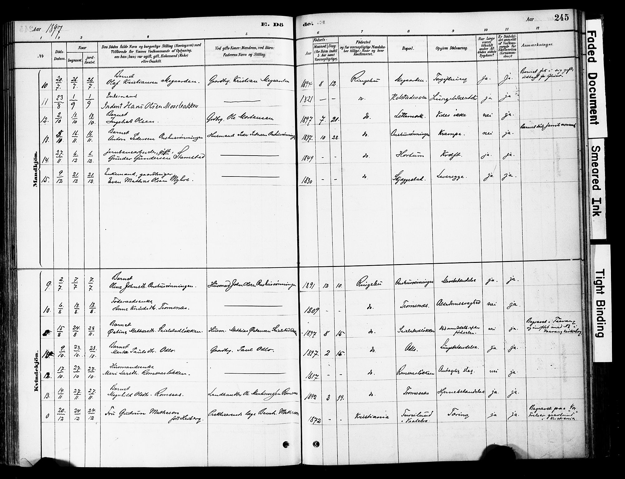 Ringebu prestekontor, AV/SAH-PREST-082/H/Ha/Haa/L0008: Parish register (official) no. 8, 1878-1898, p. 245