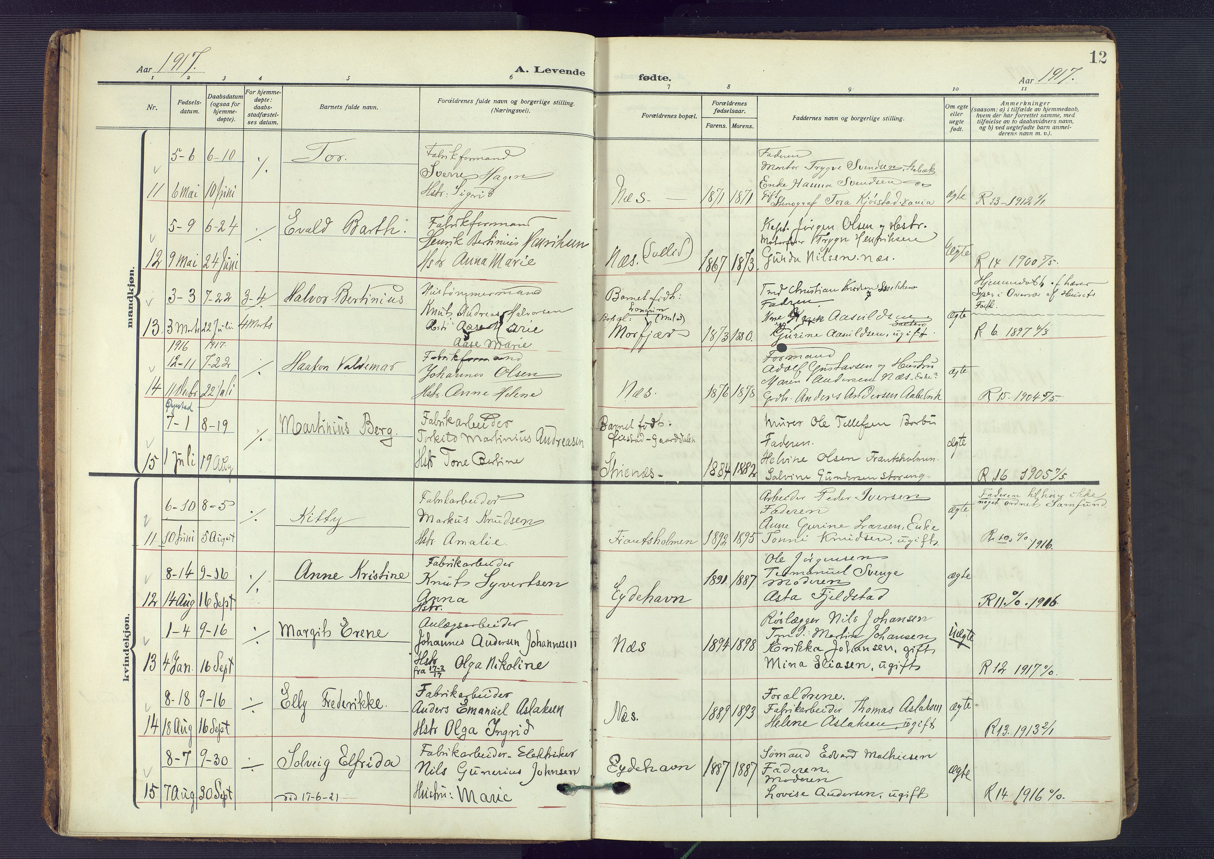 Austre Moland sokneprestkontor, AV/SAK-1111-0001/F/Fa/Fab/L0003: Parish register (official) no. A 3, 1914-1927, p. 12