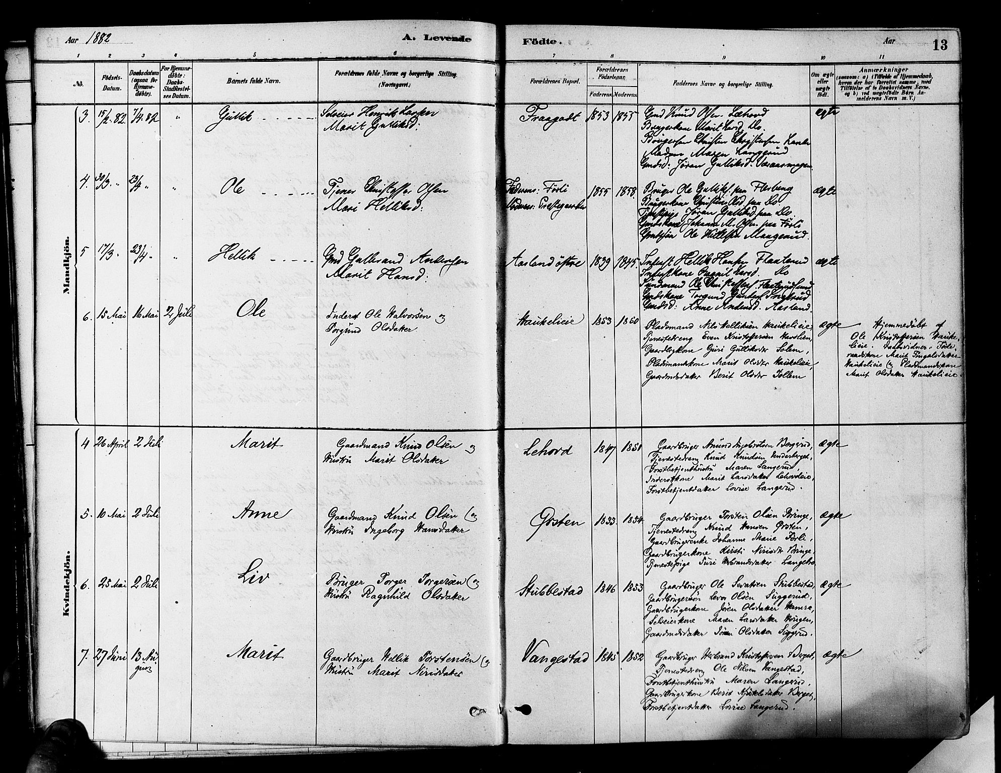 Flesberg kirkebøker, AV/SAKO-A-18/F/Fa/L0008: Parish register (official) no. I 8, 1879-1899, p. 13