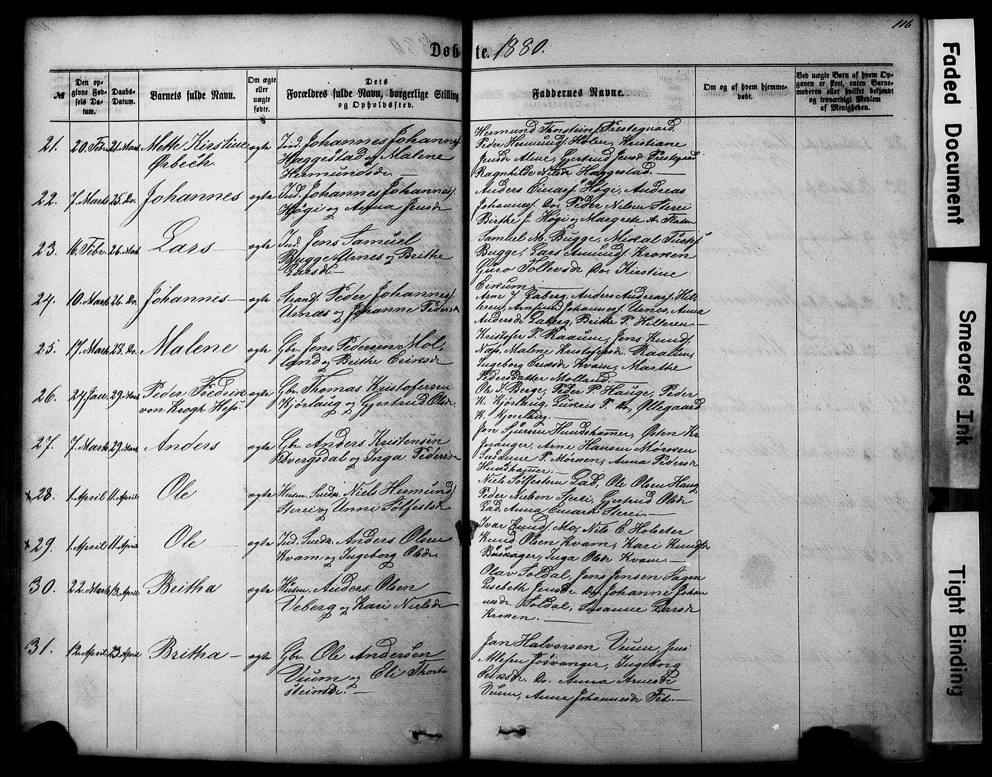 Hafslo sokneprestembete, AV/SAB-A-80301/H/Hab/Haba/L0001: Parish register (copy) no. A 1, 1866-1908, p. 116