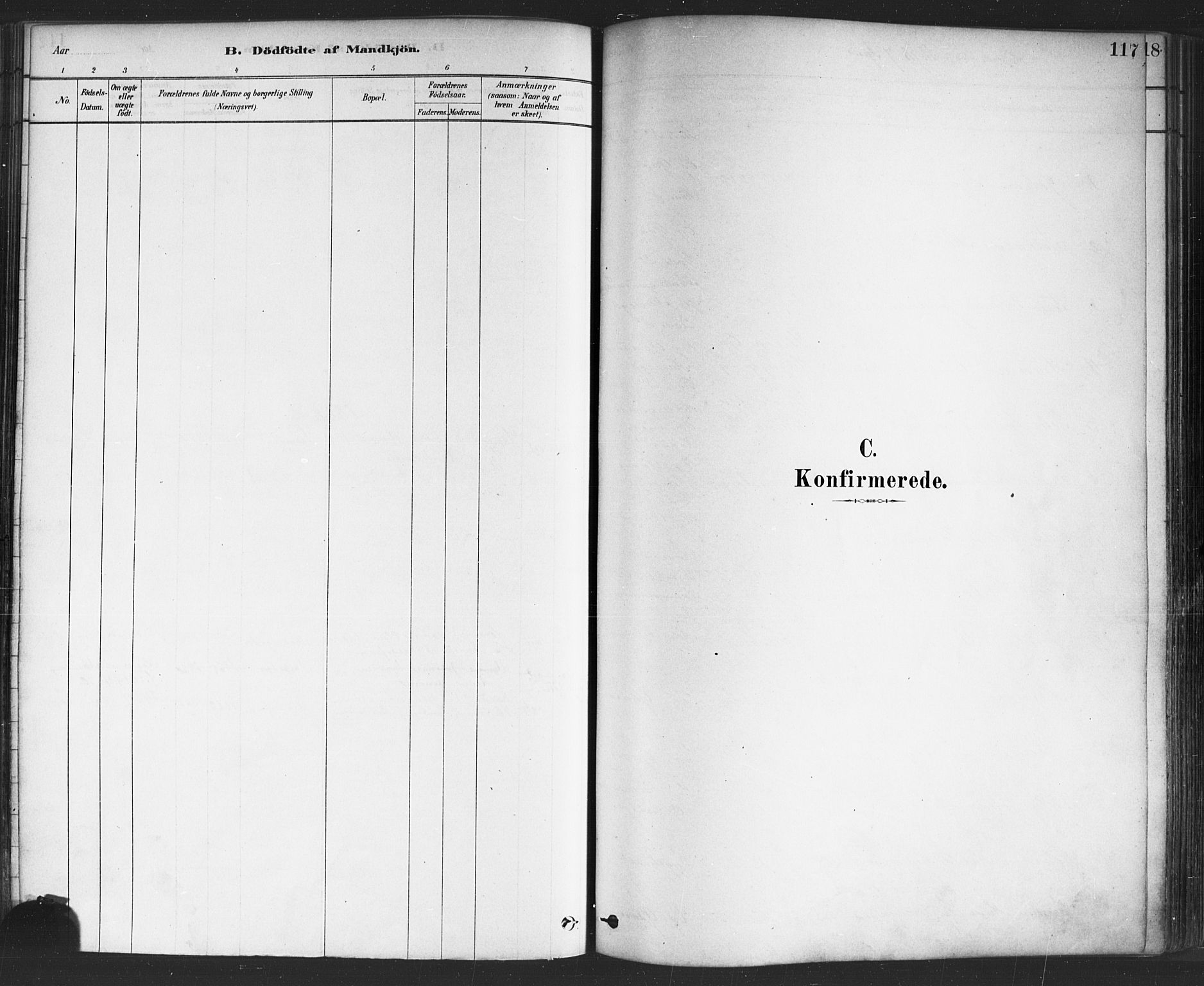 Sarpsborg prestekontor Kirkebøker, SAO/A-2006/F/Fa/L0003: Parish register (official) no. 3, 1878-1891, p. 117