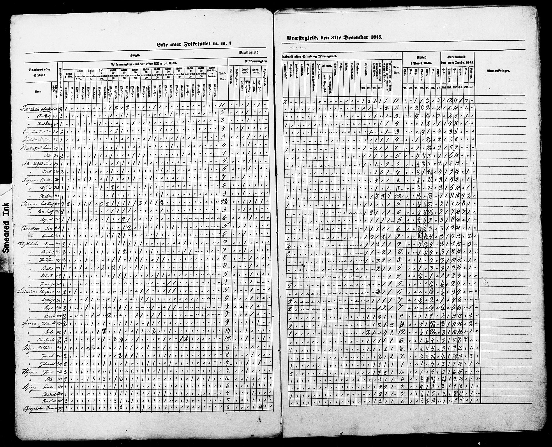 SAT, Census 1845 for Borgund, 1845, p. 17