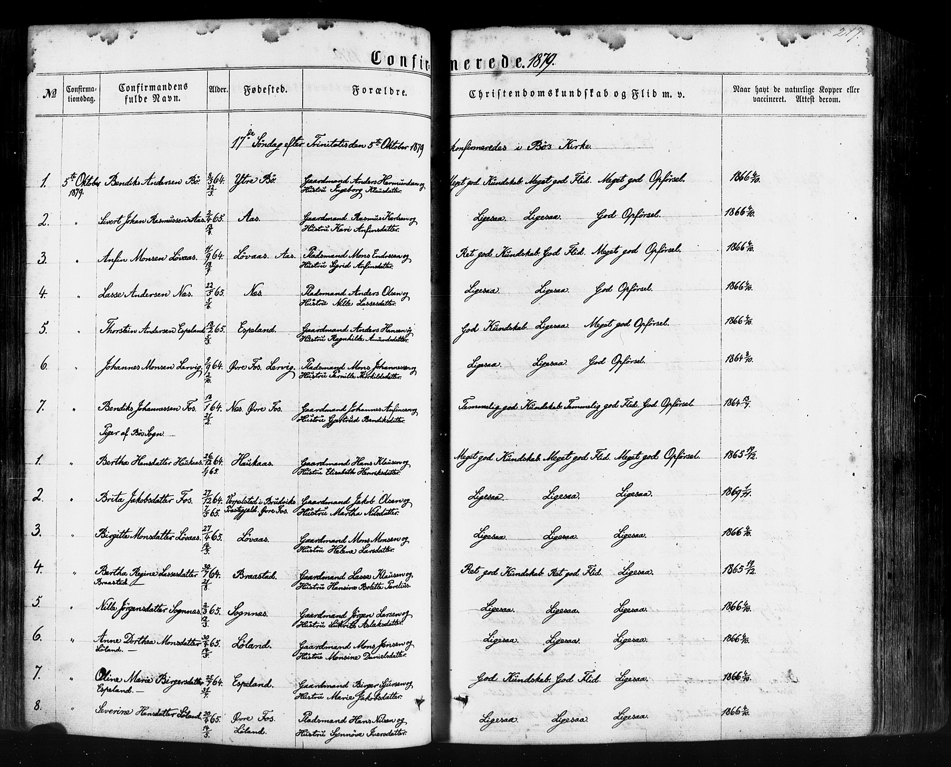 Hyllestad sokneprestembete, SAB/A-80401: Parish register (official) no. A 1, 1861-1886, p. 217