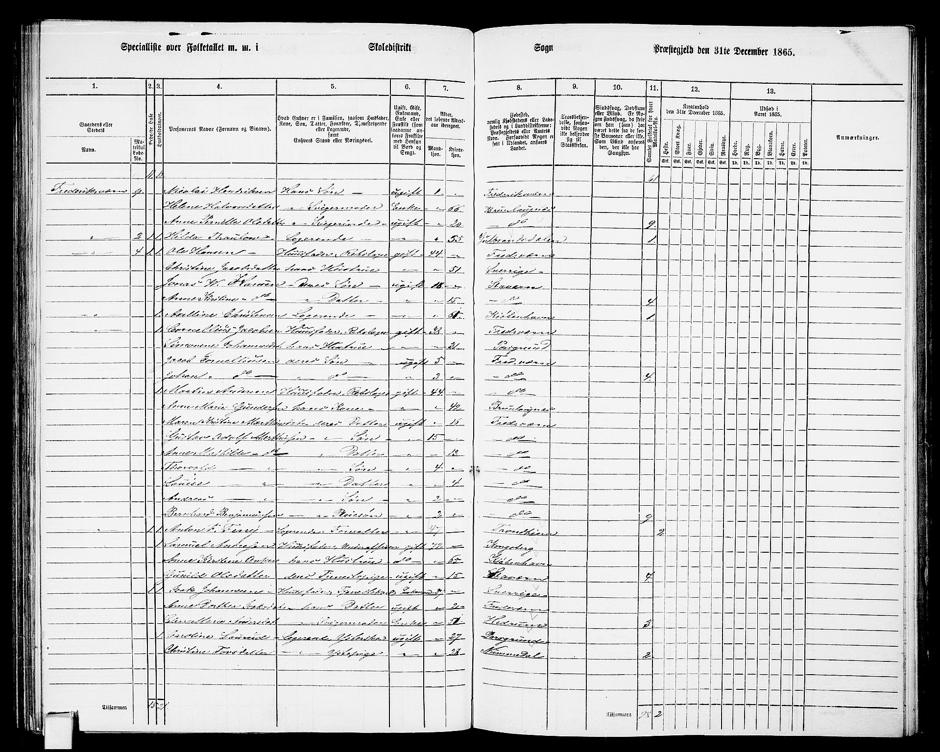 RA, 1865 census for Fredriksvern, 1865, p. 12