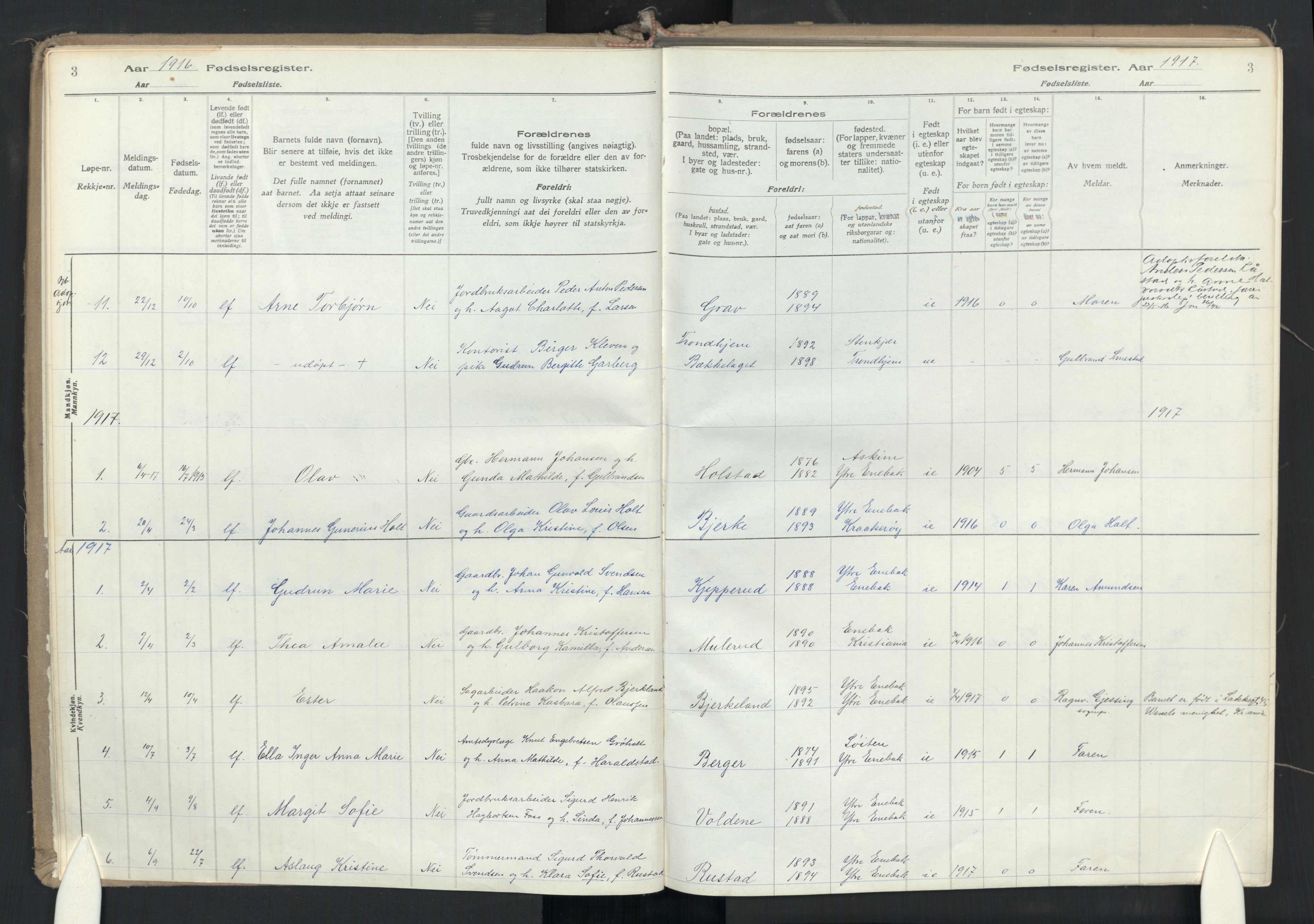 Enebakk prestekontor Kirkebøker, SAO/A-10171c/J/Jb/L0001: Birth register no. II 1, 1916-1980, p. 3
