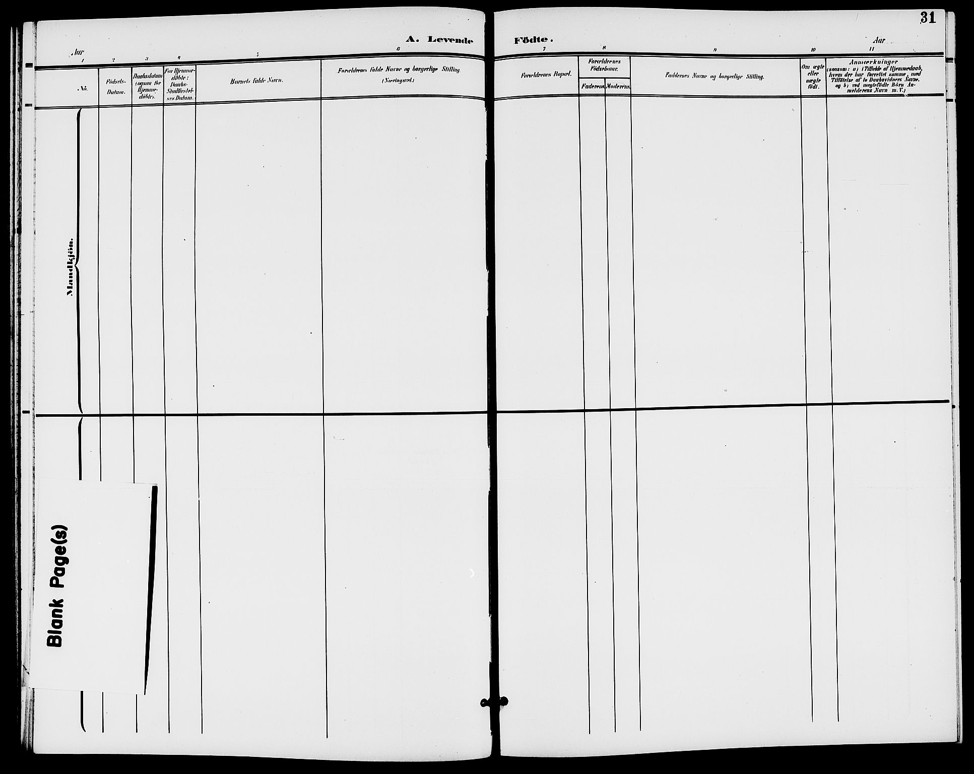 Rødenes prestekontor Kirkebøker, SAO/A-2005/G/Ga/L0002: Parish register (copy) no. I 2, 1901-1910, p. 31
