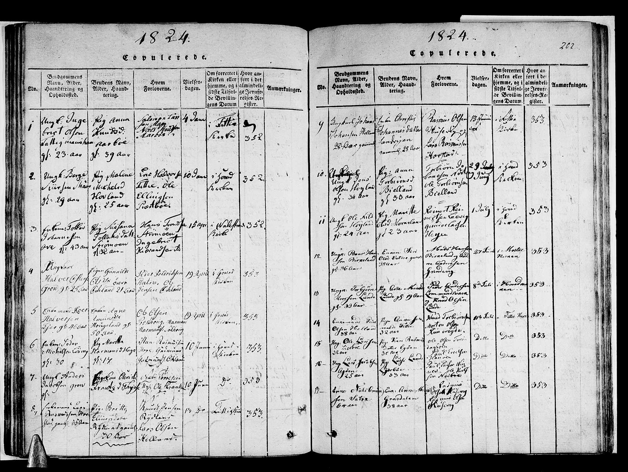 Stord sokneprestembete, AV/SAB-A-78201/H/Haa: Parish register (official) no. A 5, 1816-1825, p. 202