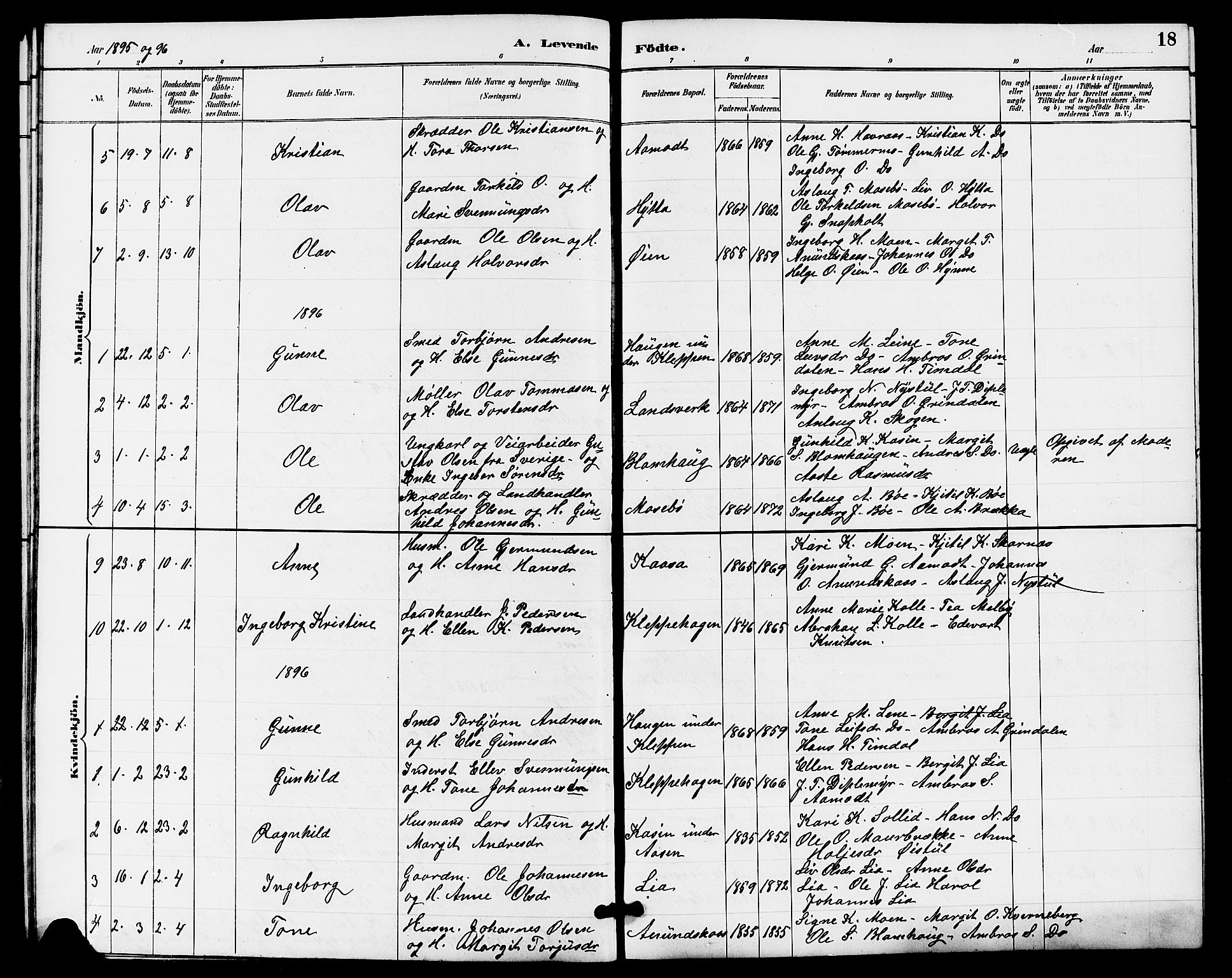 Hjartdal kirkebøker, SAKO/A-270/G/Gb/L0003: Parish register (copy) no. II 3, 1884-1899, p. 18