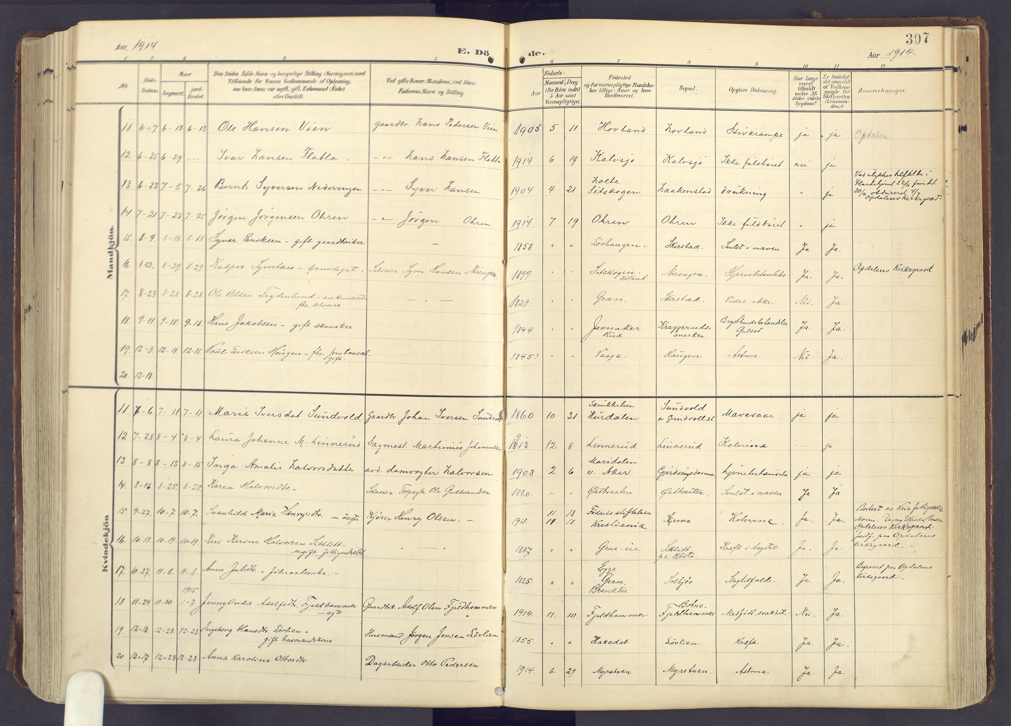 Lunner prestekontor, SAH/PREST-118/H/Ha/Haa/L0001: Parish register (official) no. 1, 1907-1922, p. 307