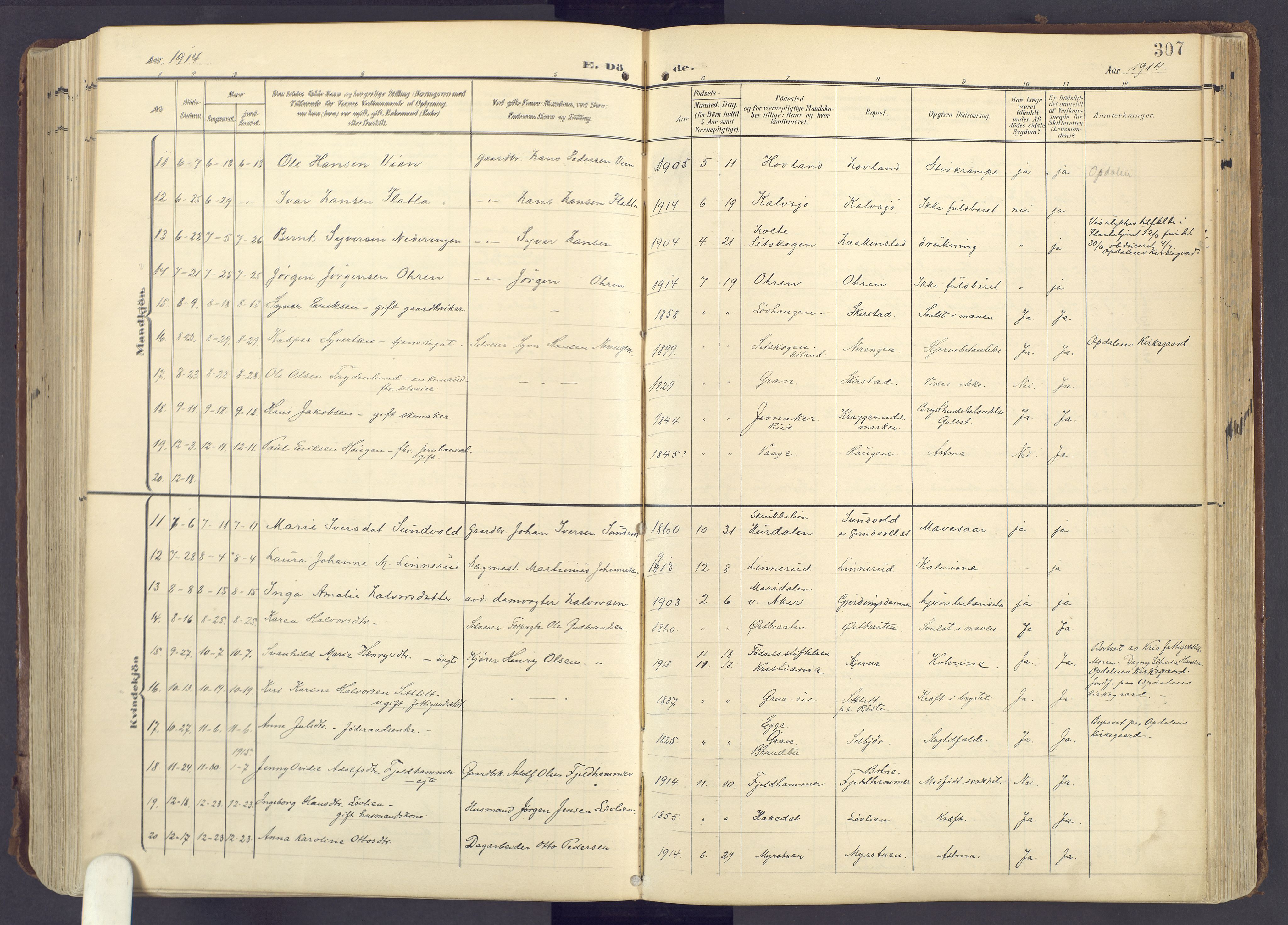 Lunner prestekontor, AV/SAH-PREST-118/H/Ha/Haa/L0001: Parish register (official) no. 1, 1907-1922, p. 307