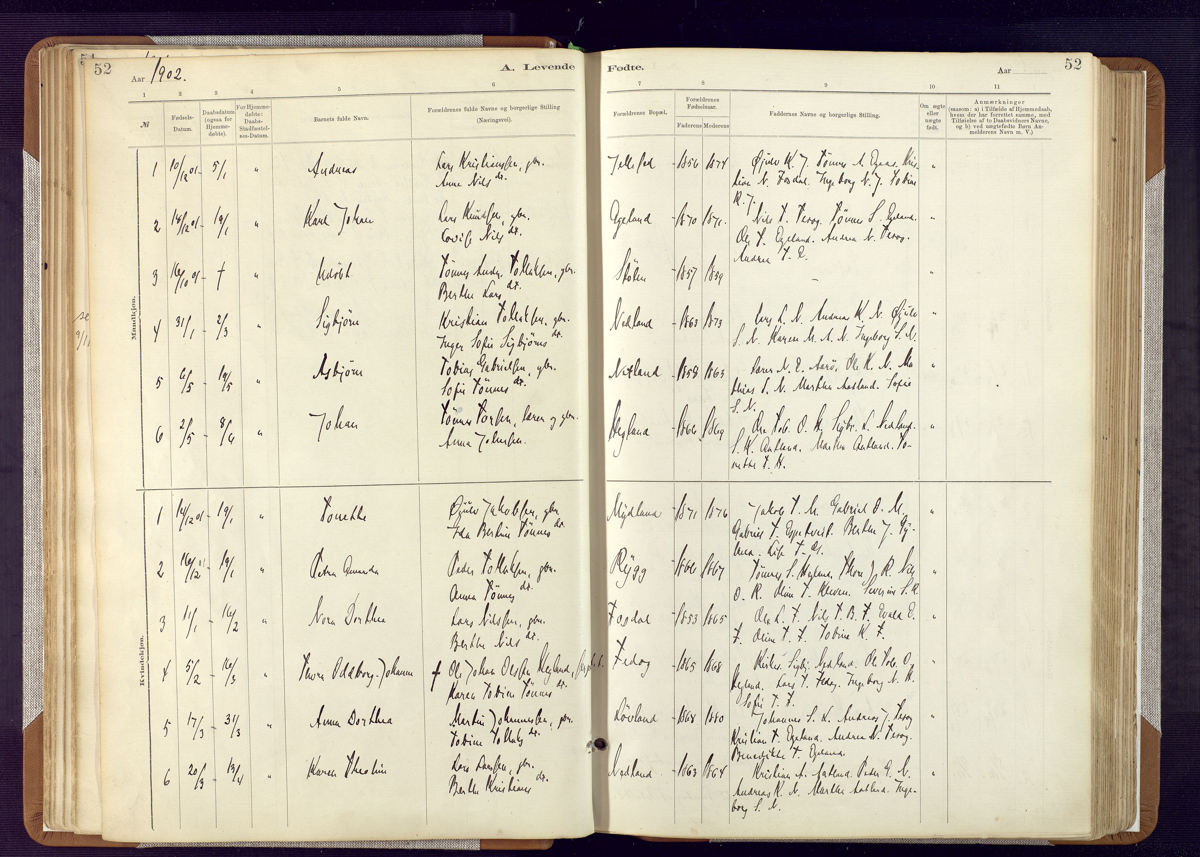 Bakke sokneprestkontor, SAK/1111-0002/F/Fa/Fab/L0003: Parish register (official) no. A 3, 1884-1921, p. 52