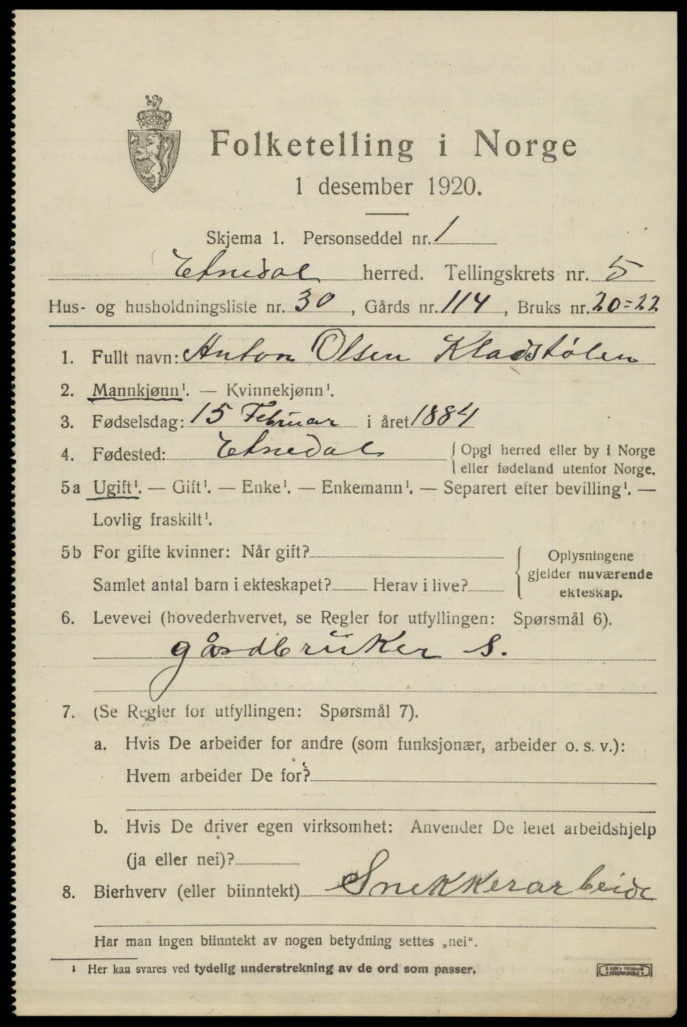 SAH, 1920 census for Etnedal, 1920, p. 2236