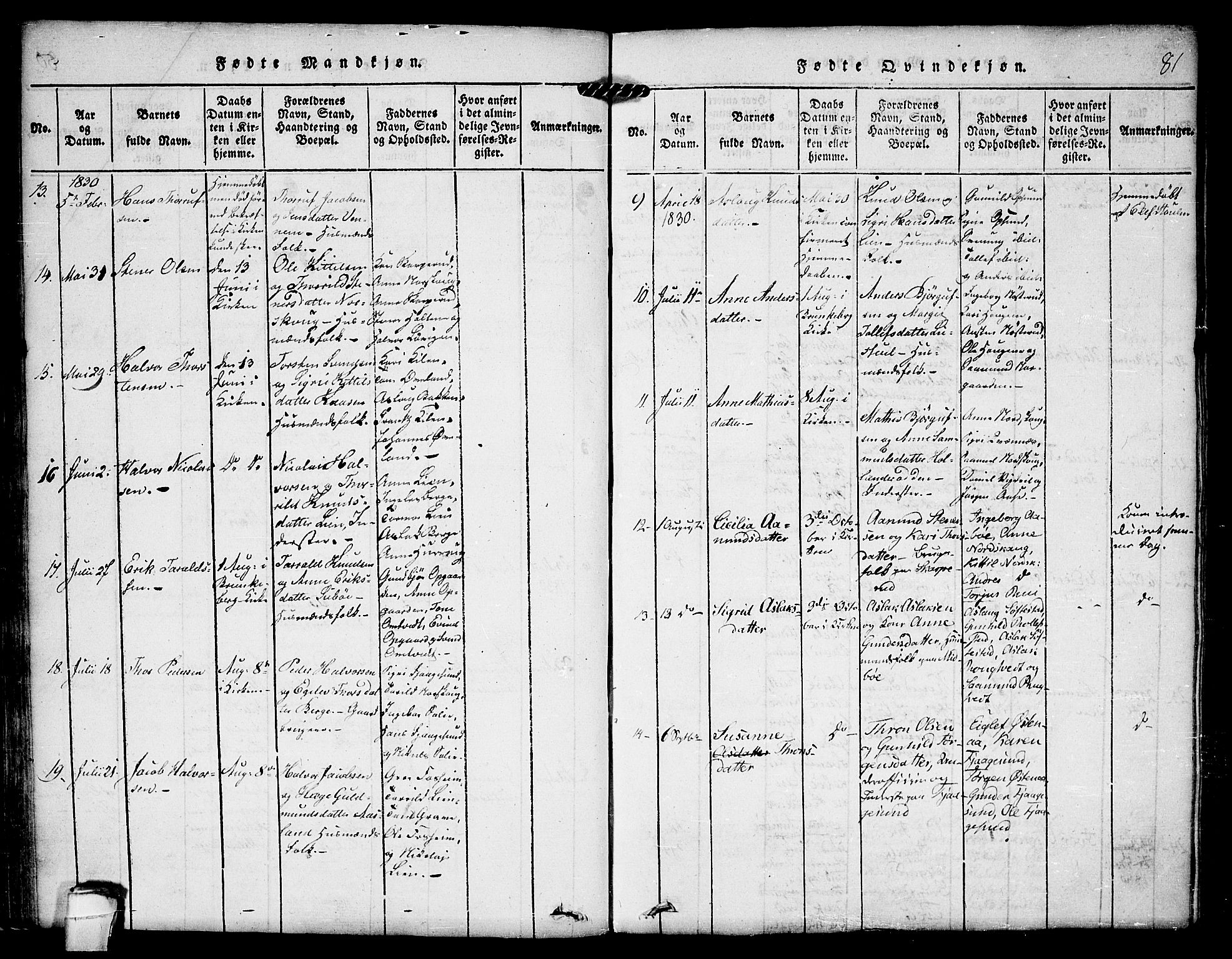 Kviteseid kirkebøker, SAKO/A-276/F/Fa/L0005: Parish register (official) no. I 5, 1815-1836, p. 81