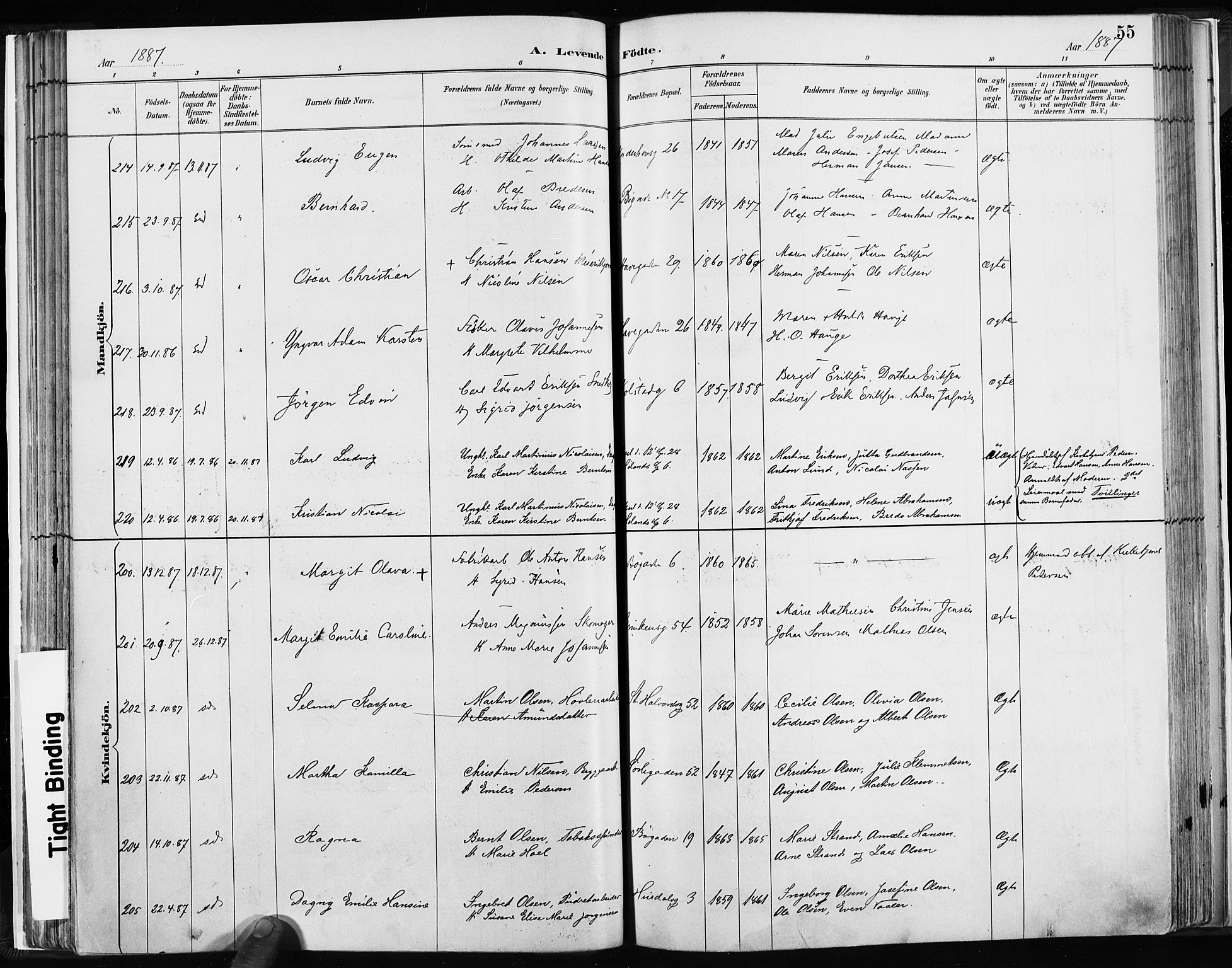 Kampen prestekontor Kirkebøker, AV/SAO-A-10853/F/Fa/L0003: Parish register (official) no. I 3, 1886-1892, p. 55