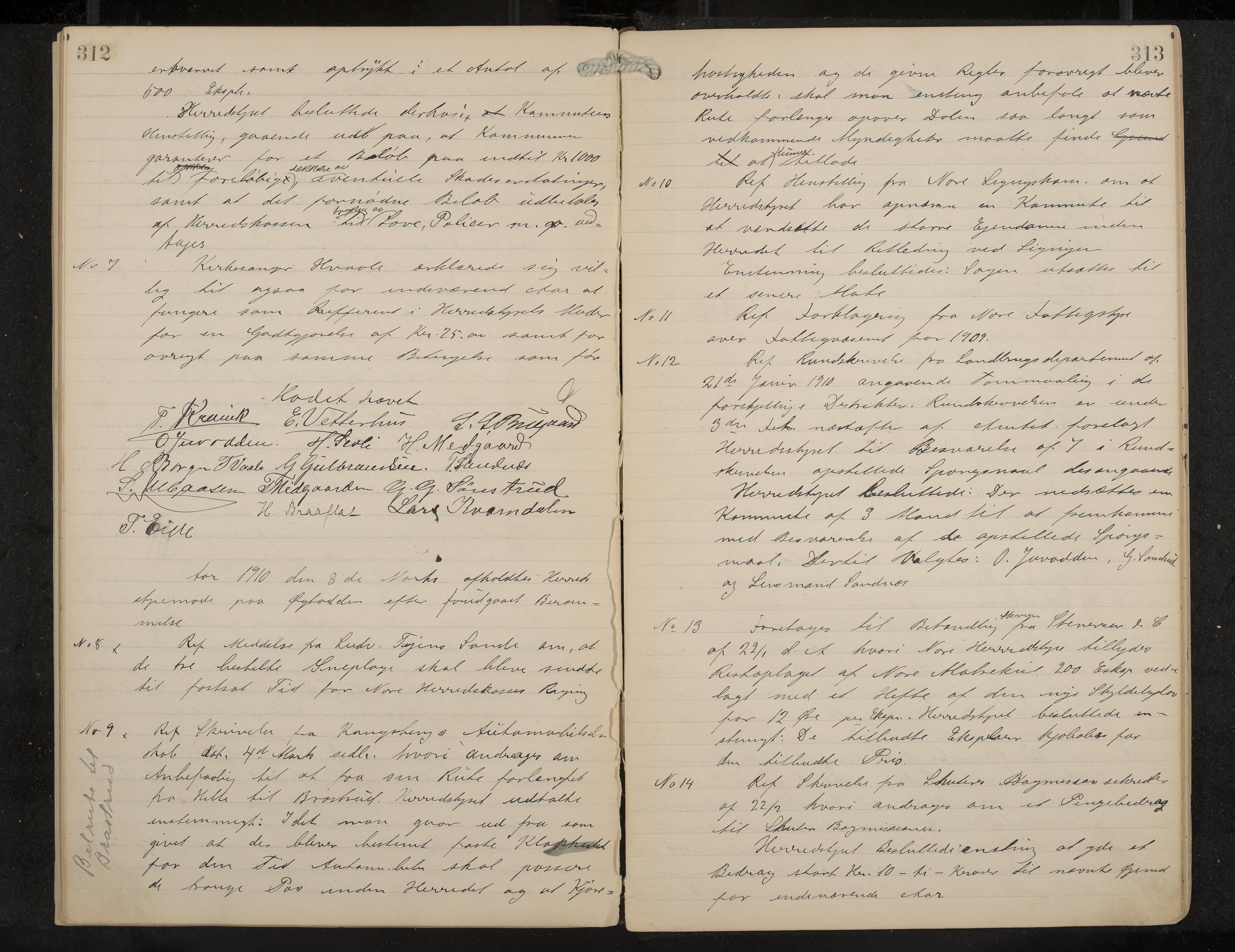 Nore formannskap og sentraladministrasjon, IKAK/0633021-2/A/Aa/L0001: Møtebok, 1901-1911, p. 312-313