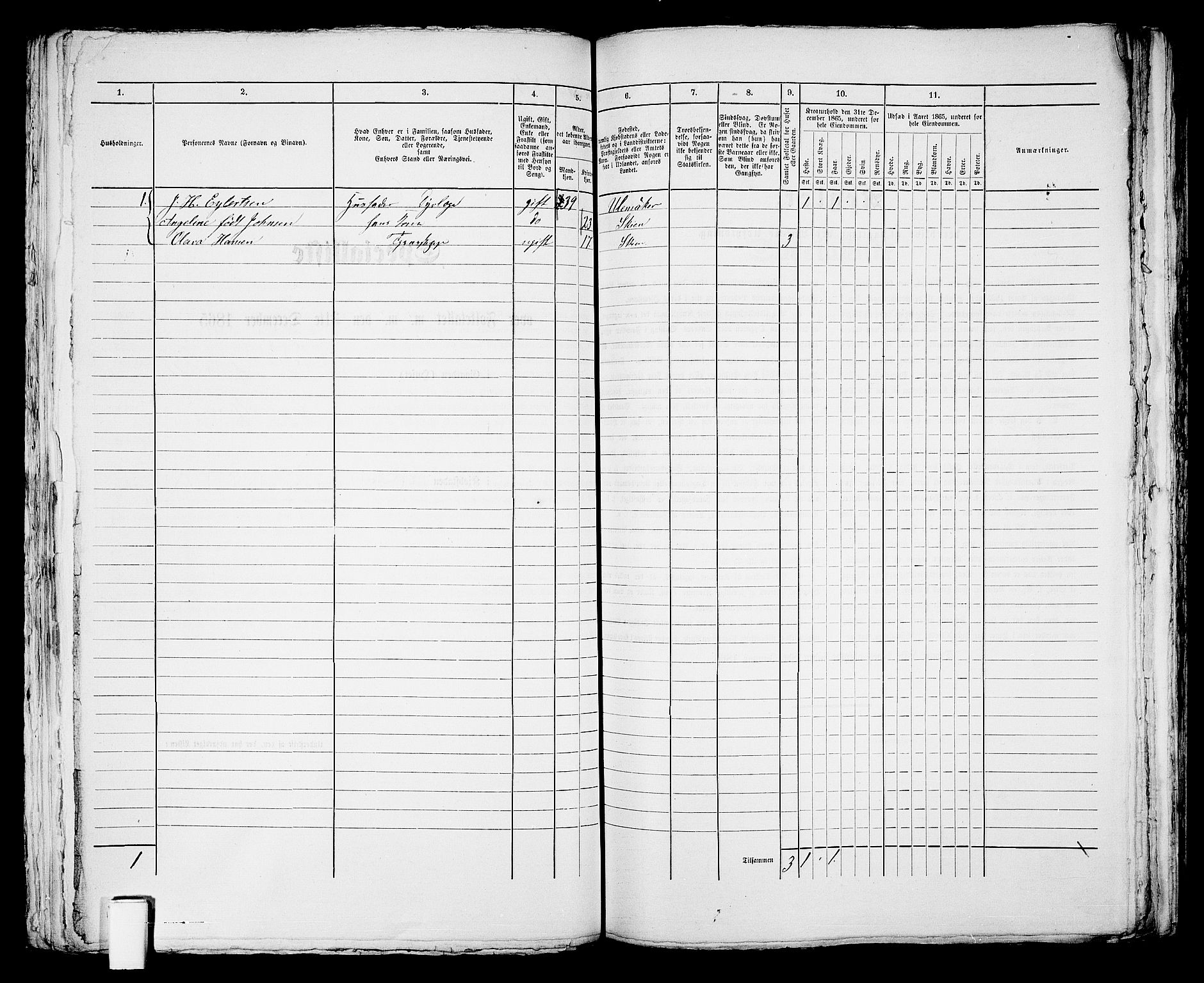 RA, 1865 census for Skien, 1865, p. 994