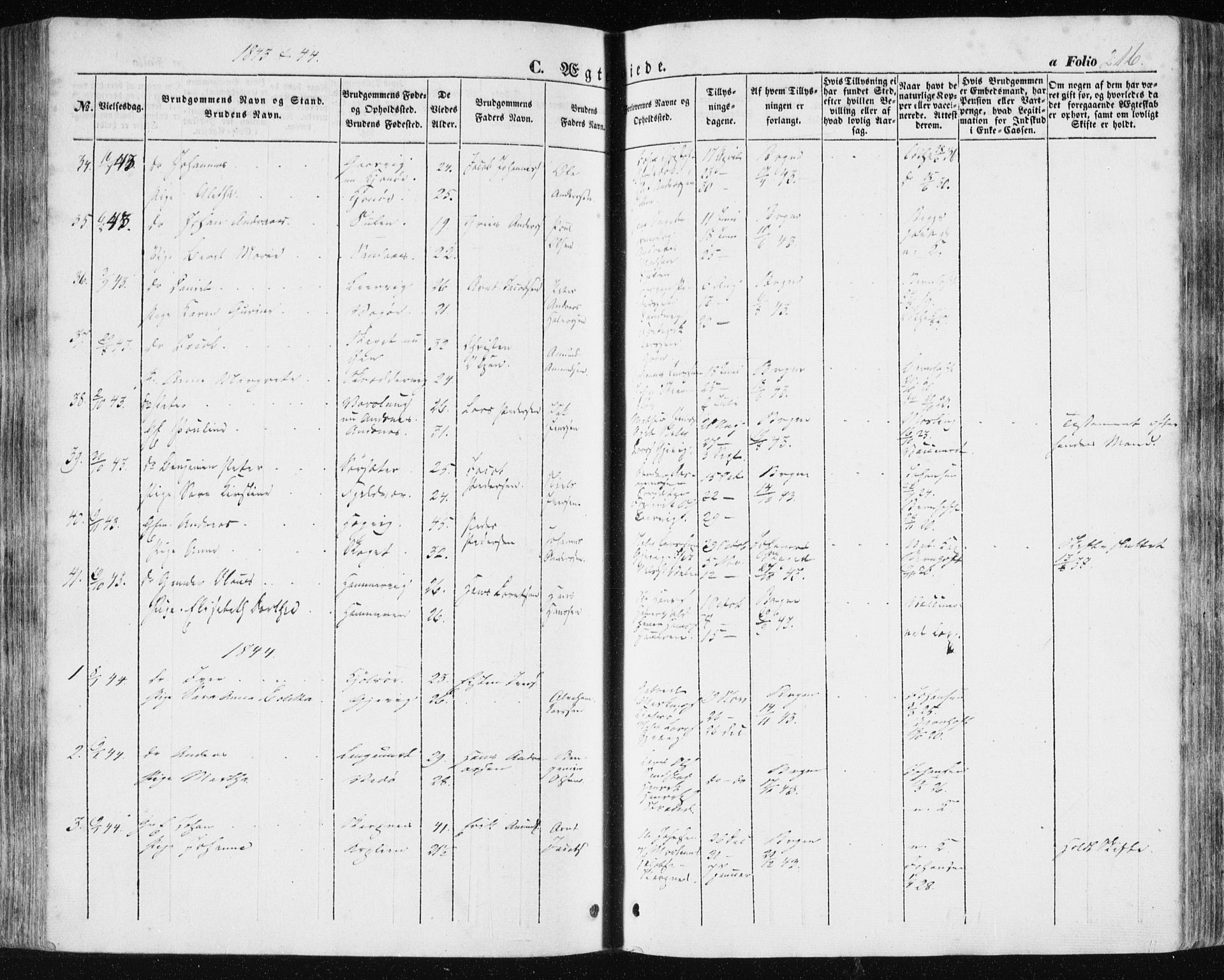 Ministerialprotokoller, klokkerbøker og fødselsregistre - Sør-Trøndelag, SAT/A-1456/634/L0529: Parish register (official) no. 634A05, 1843-1851, p. 216