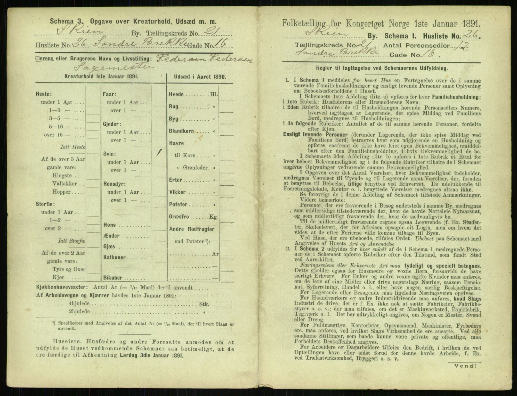 RA, 1891 census for 0806 Skien, 1891, p. 846