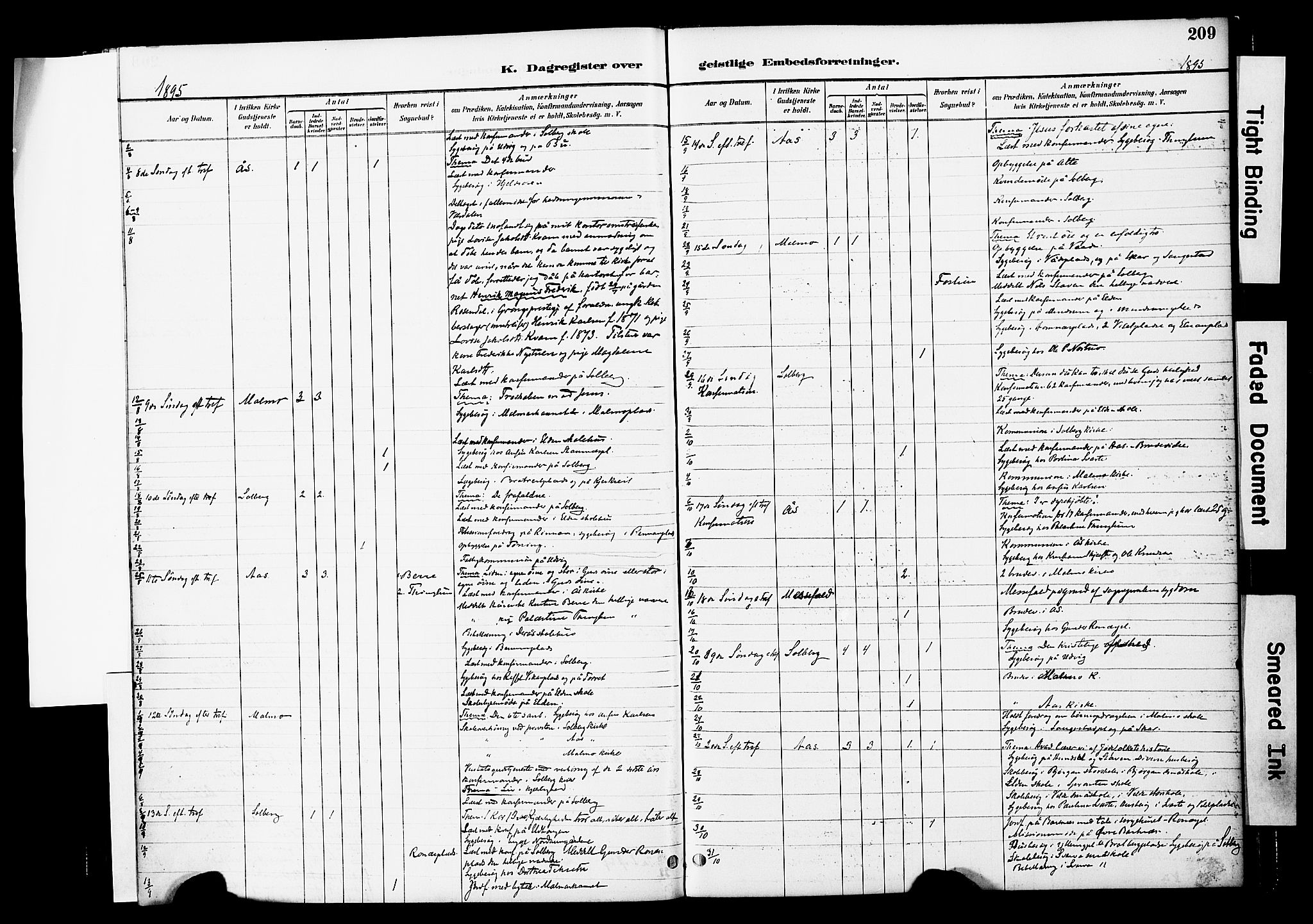 Ministerialprotokoller, klokkerbøker og fødselsregistre - Nord-Trøndelag, AV/SAT-A-1458/741/L0396: Parish register (official) no. 741A10, 1889-1901, p. 209