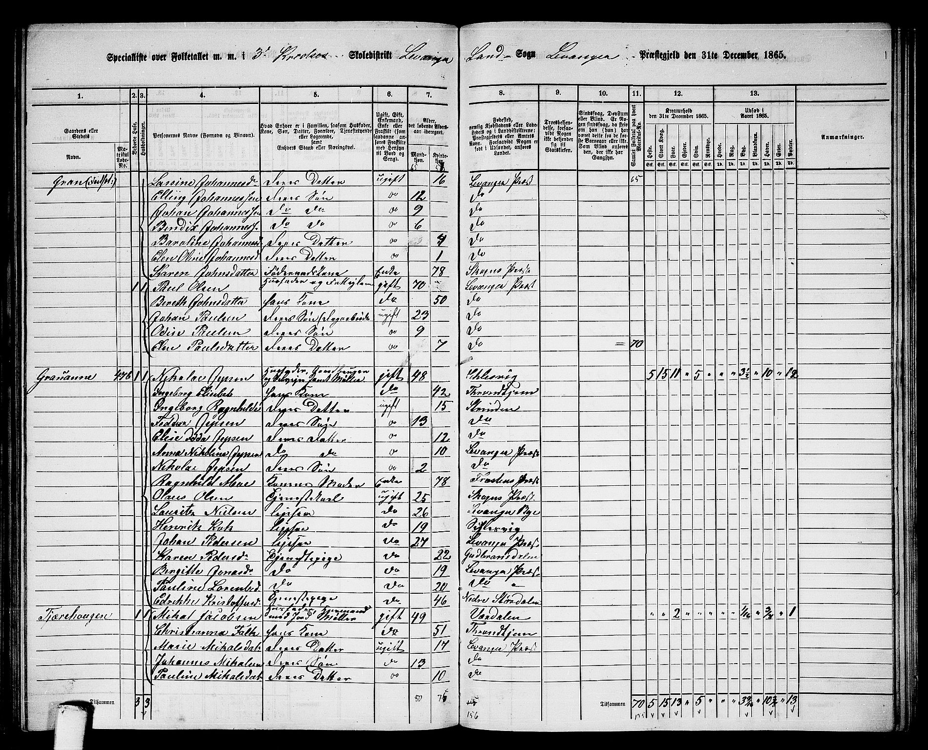 RA, 1865 census for Levanger/Levanger, 1865, p. 62