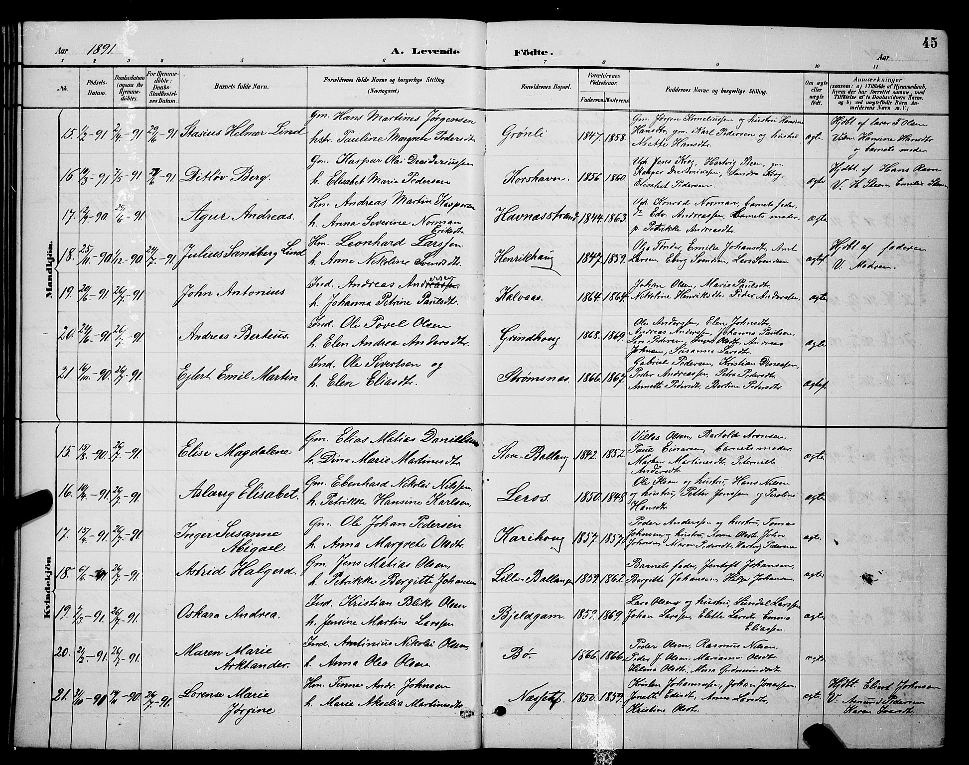 Ministerialprotokoller, klokkerbøker og fødselsregistre - Nordland, AV/SAT-A-1459/863/L0914: Parish register (copy) no. 863C04, 1886-1897, p. 45