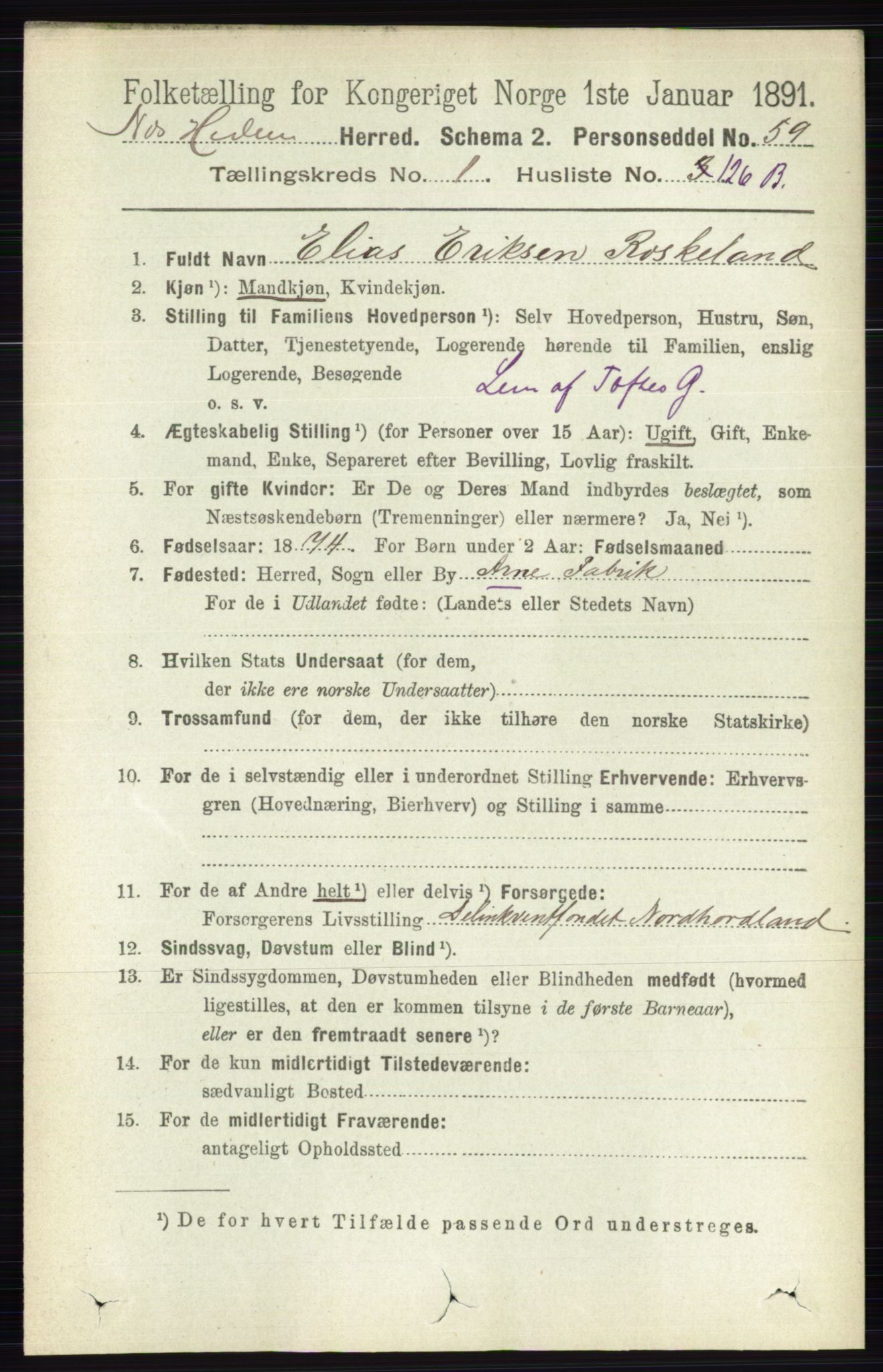 RA, 1891 census for 0411 Nes, 1891, p. 966