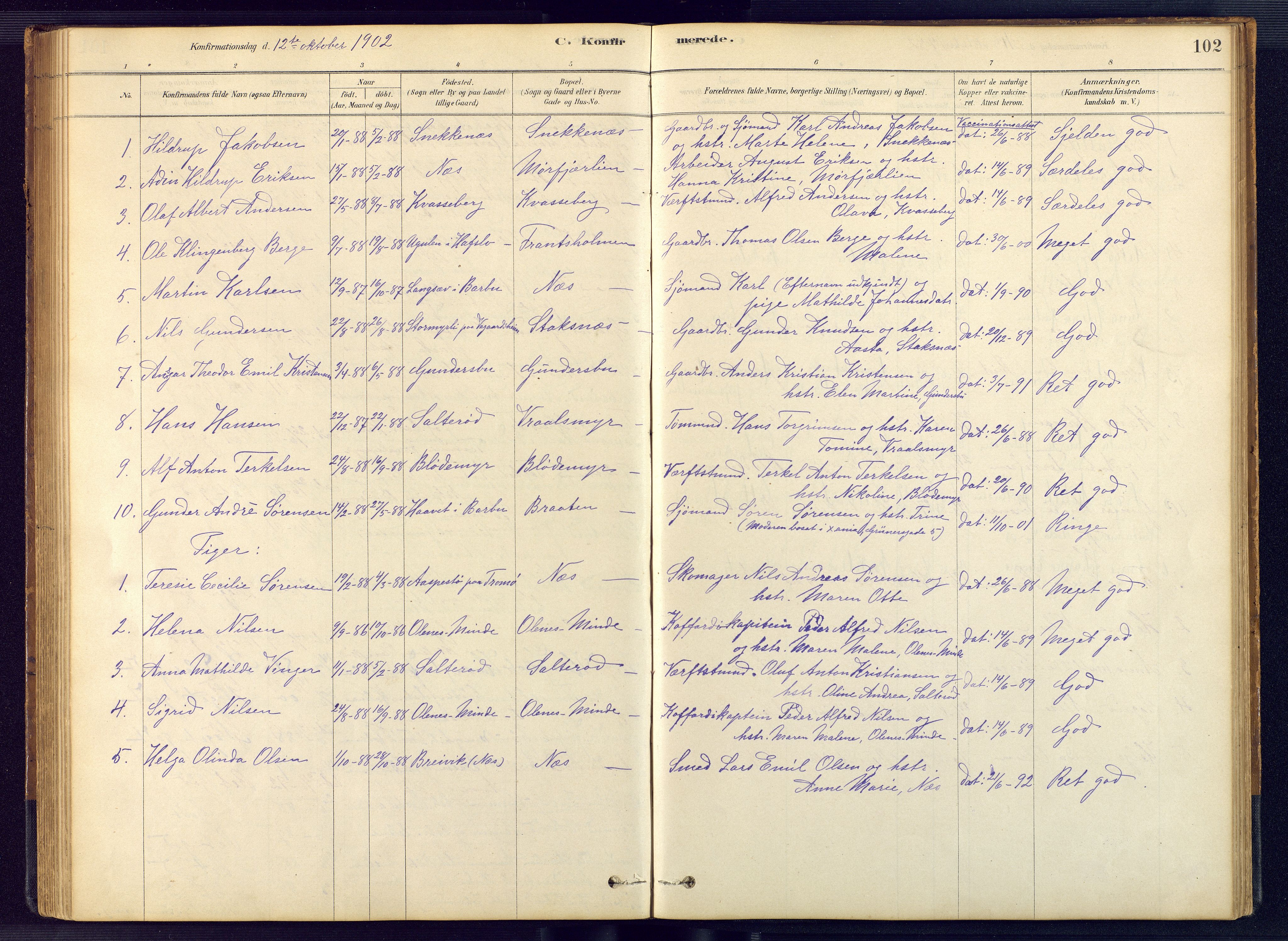Austre Moland sokneprestkontor, SAK/1111-0001/F/Fb/Fbb/L0001: Parish register (copy) no. B 1, 1878-1904, p. 102