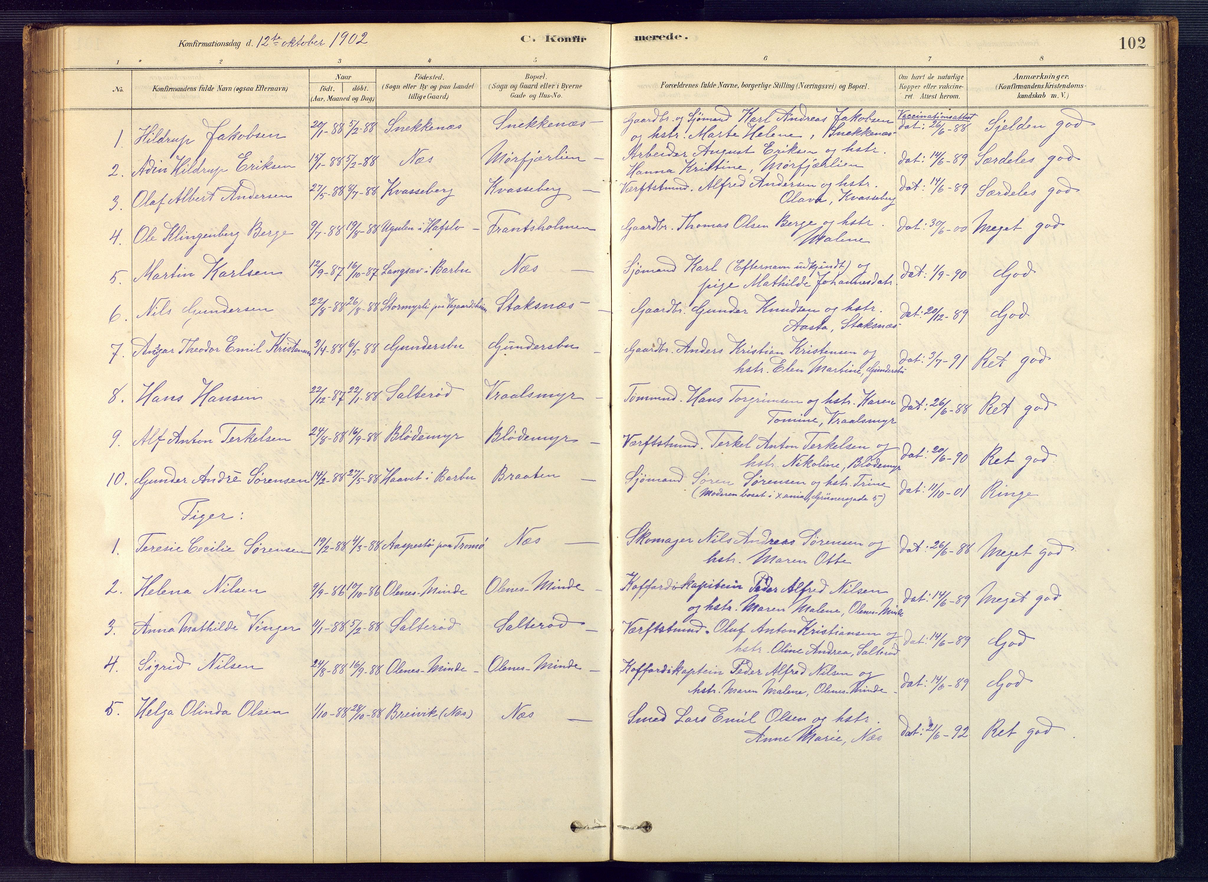 Austre Moland sokneprestkontor, AV/SAK-1111-0001/F/Fb/Fbb/L0001: Parish register (copy) no. B 1, 1878-1904, p. 102