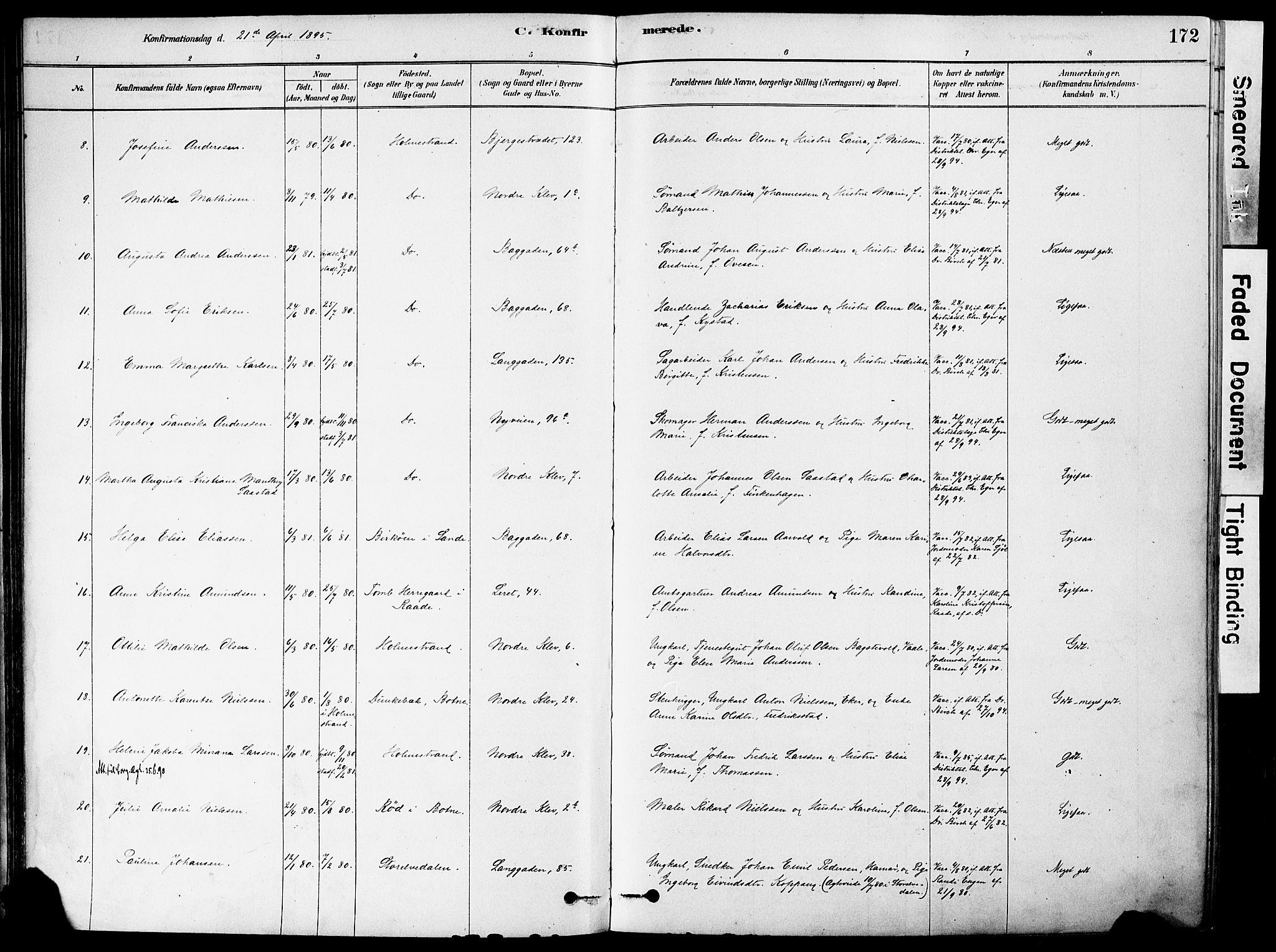 Holmestrand kirkebøker, AV/SAKO-A-346/F/Fa/L0004: Parish register (official) no. 4, 1880-1901, p. 172