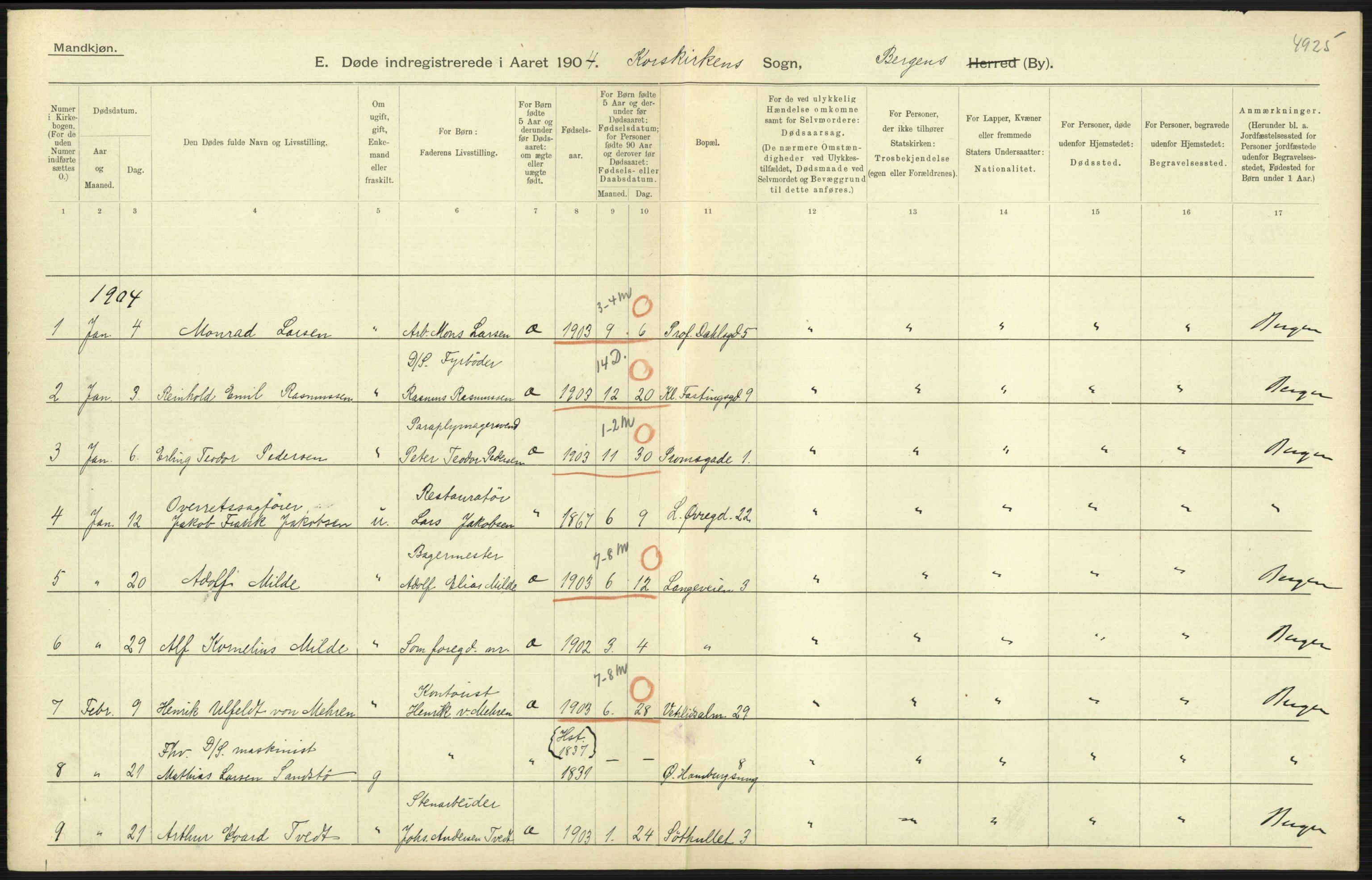 Statistisk sentralbyrå, Sosiodemografiske emner, Befolkning, AV/RA-S-2228/D/Df/Dfa/Dfab/L0014: Bergen: Fødte, gifte, døde, 1904, p. 373