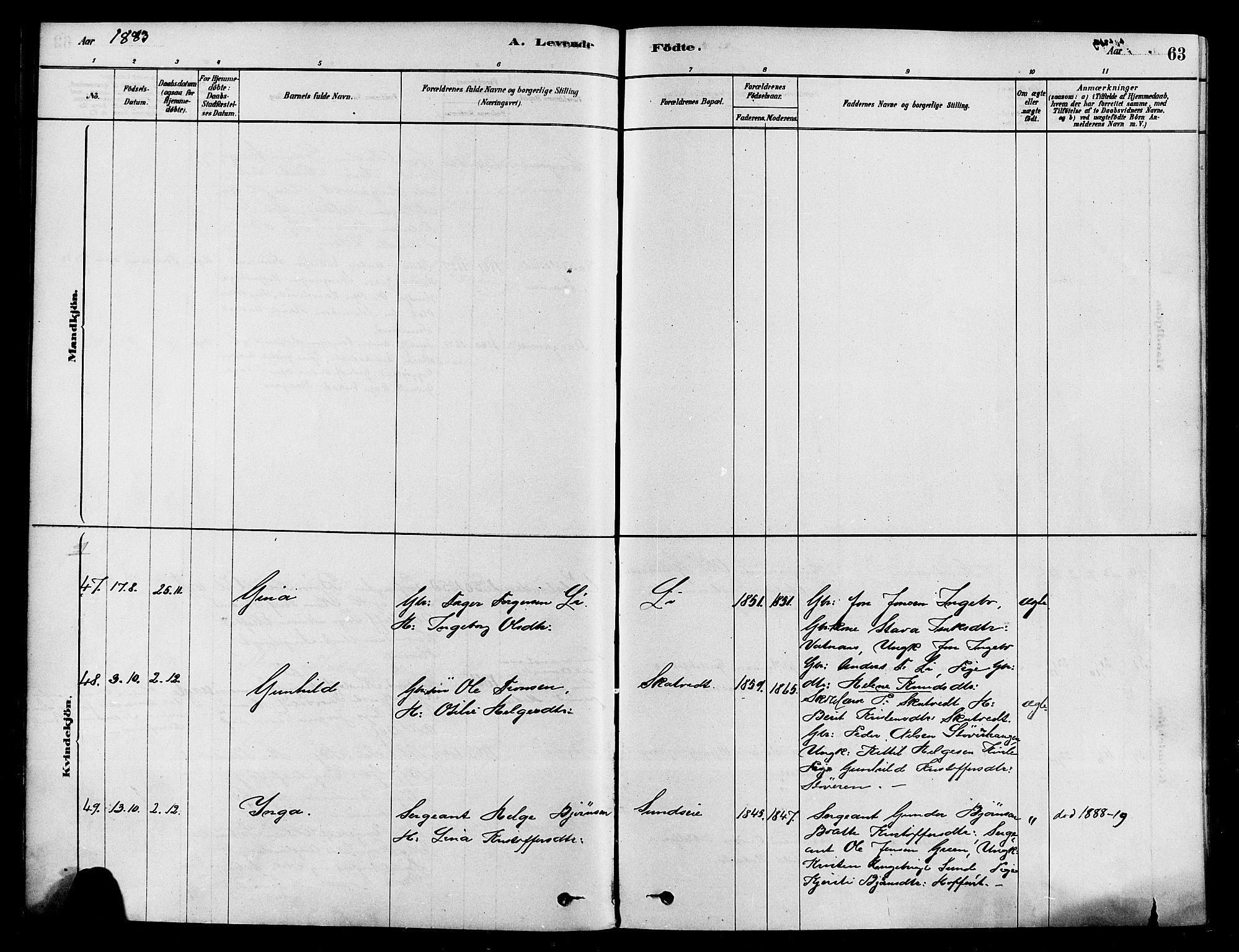 Sigdal kirkebøker, AV/SAKO-A-245/F/Fa/L0011: Parish register (official) no. I 11, 1879-1887, p. 63