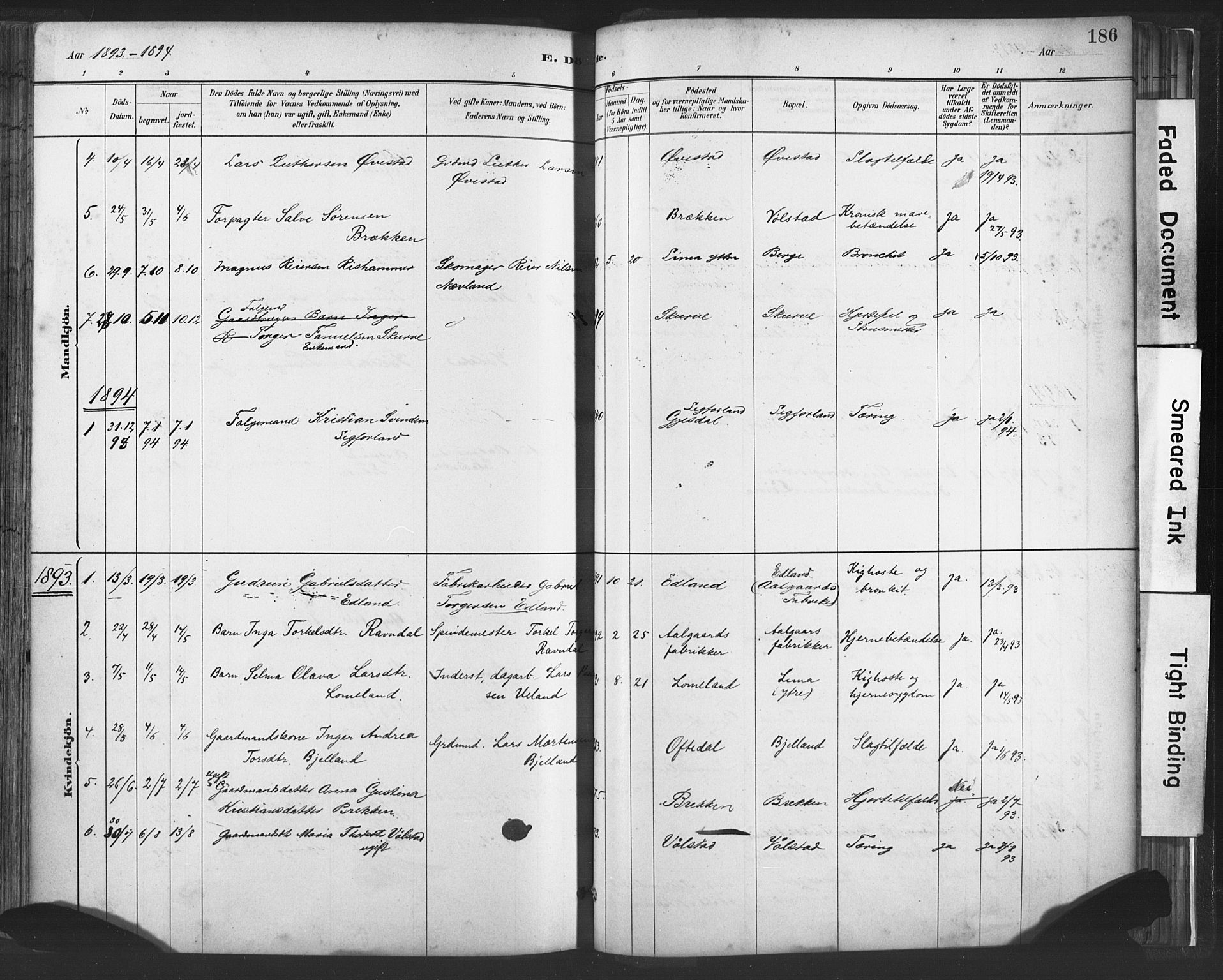 Lye sokneprestkontor, AV/SAST-A-101794/001/30BA/L0010: Parish register (official) no. A 10, 1881-1896, p. 186