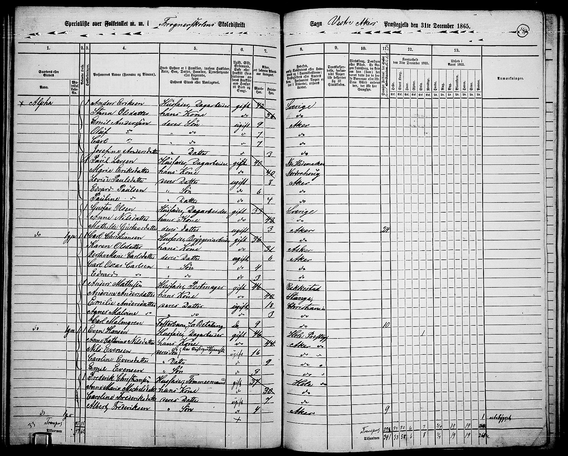 RA, 1865 census for Vestre Aker, 1865, p. 307