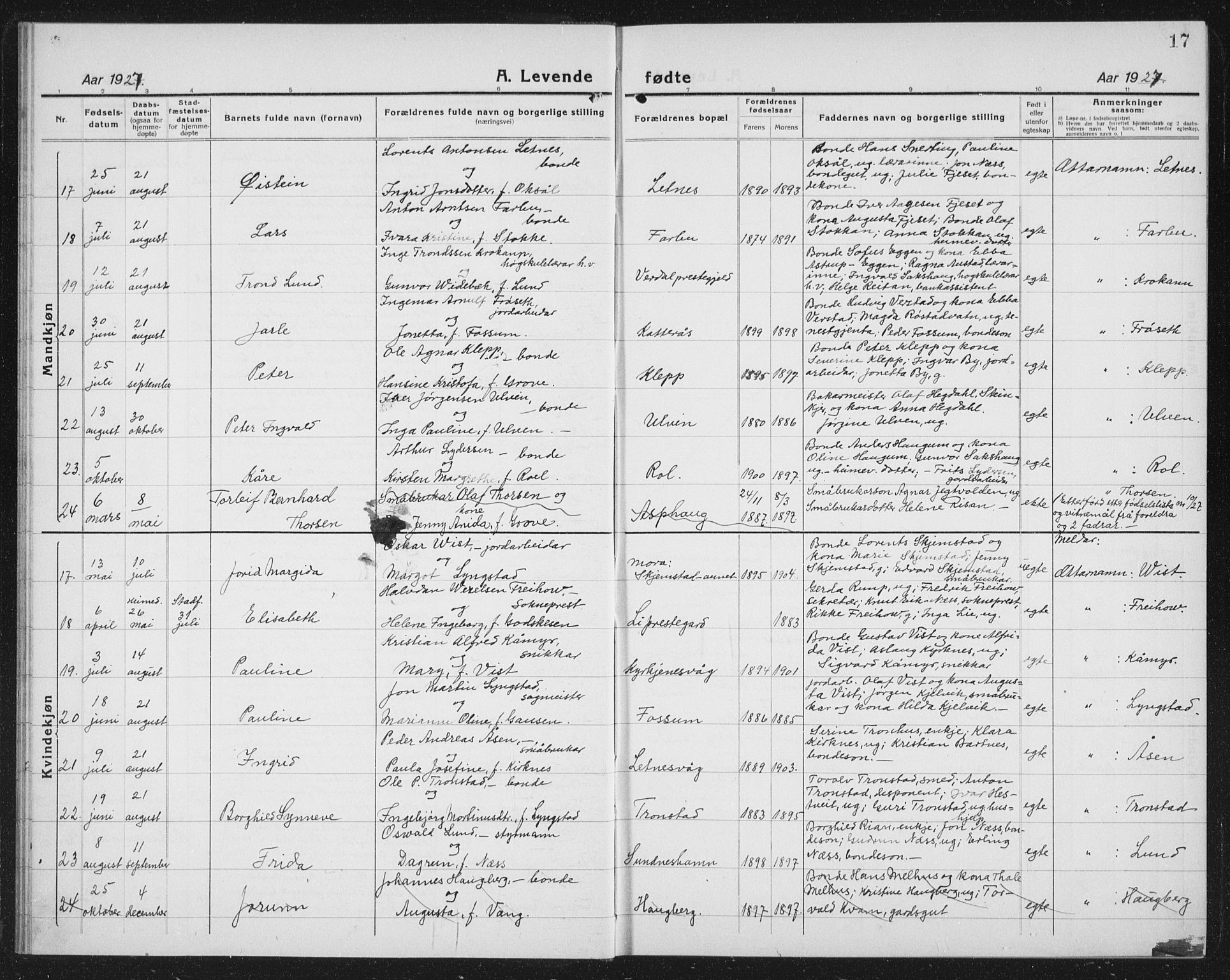 Ministerialprotokoller, klokkerbøker og fødselsregistre - Nord-Trøndelag, AV/SAT-A-1458/730/L0303: Parish register (copy) no. 730C06, 1924-1933, p. 17