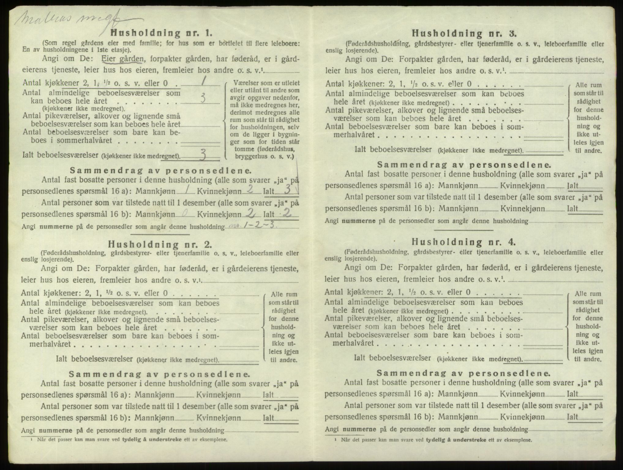 SAO, 1920 census for Hvaler, 1920, p. 392