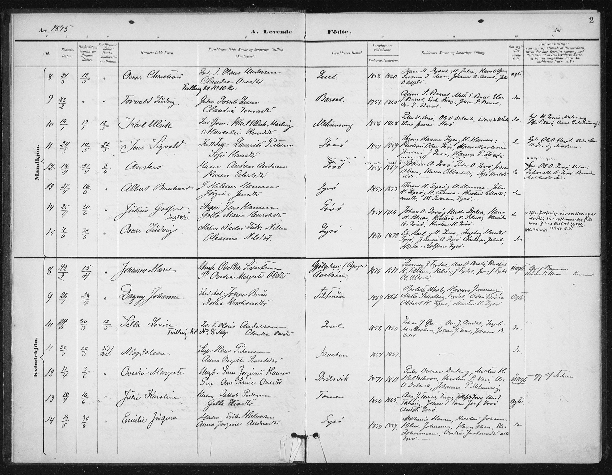 Ministerialprotokoller, klokkerbøker og fødselsregistre - Sør-Trøndelag, SAT/A-1456/654/L0664: Parish register (official) no. 654A02, 1895-1907, p. 2