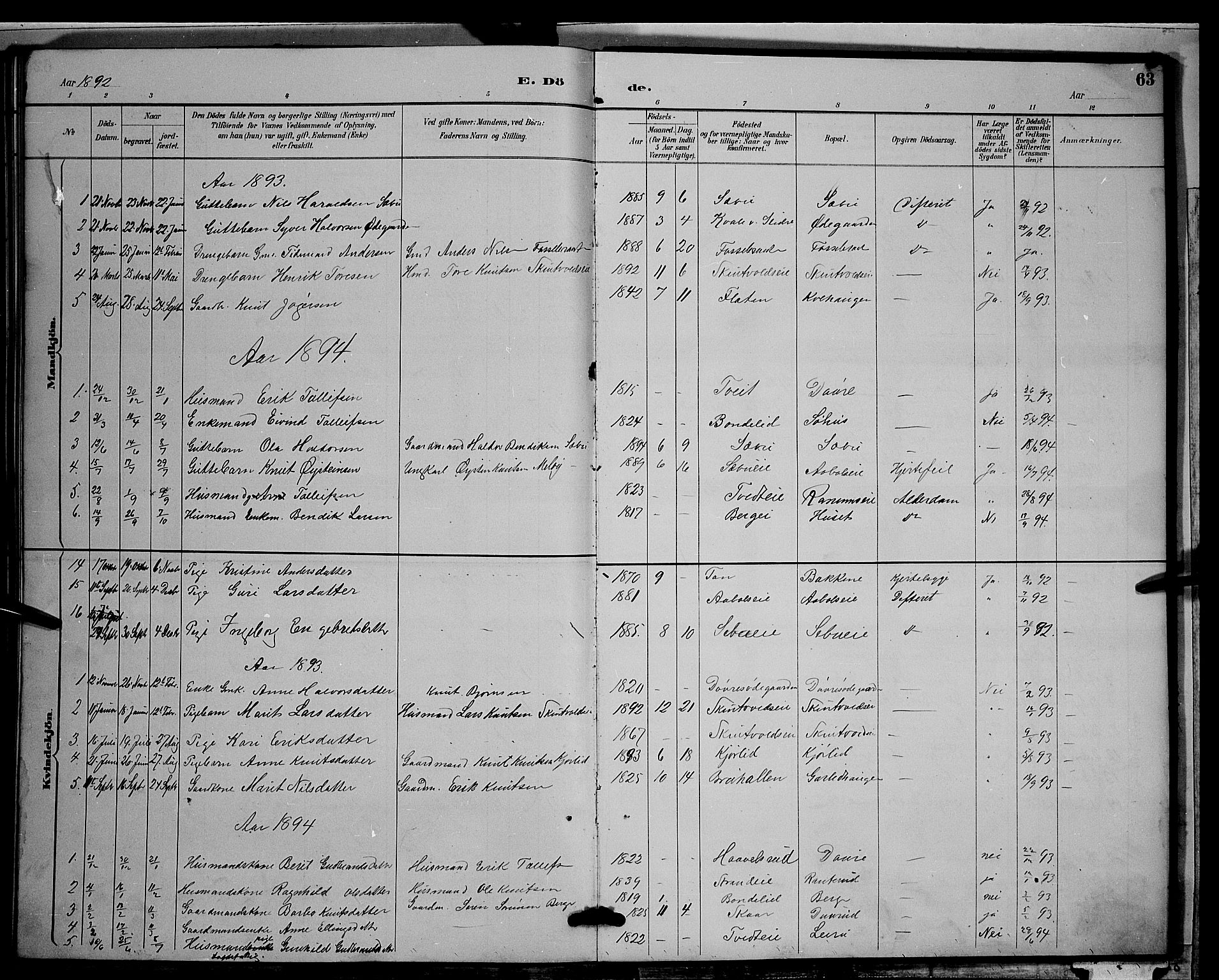 Nord-Aurdal prestekontor, AV/SAH-PREST-132/H/Ha/Hab/L0009: Parish register (copy) no. 9, 1887-1897, p. 63