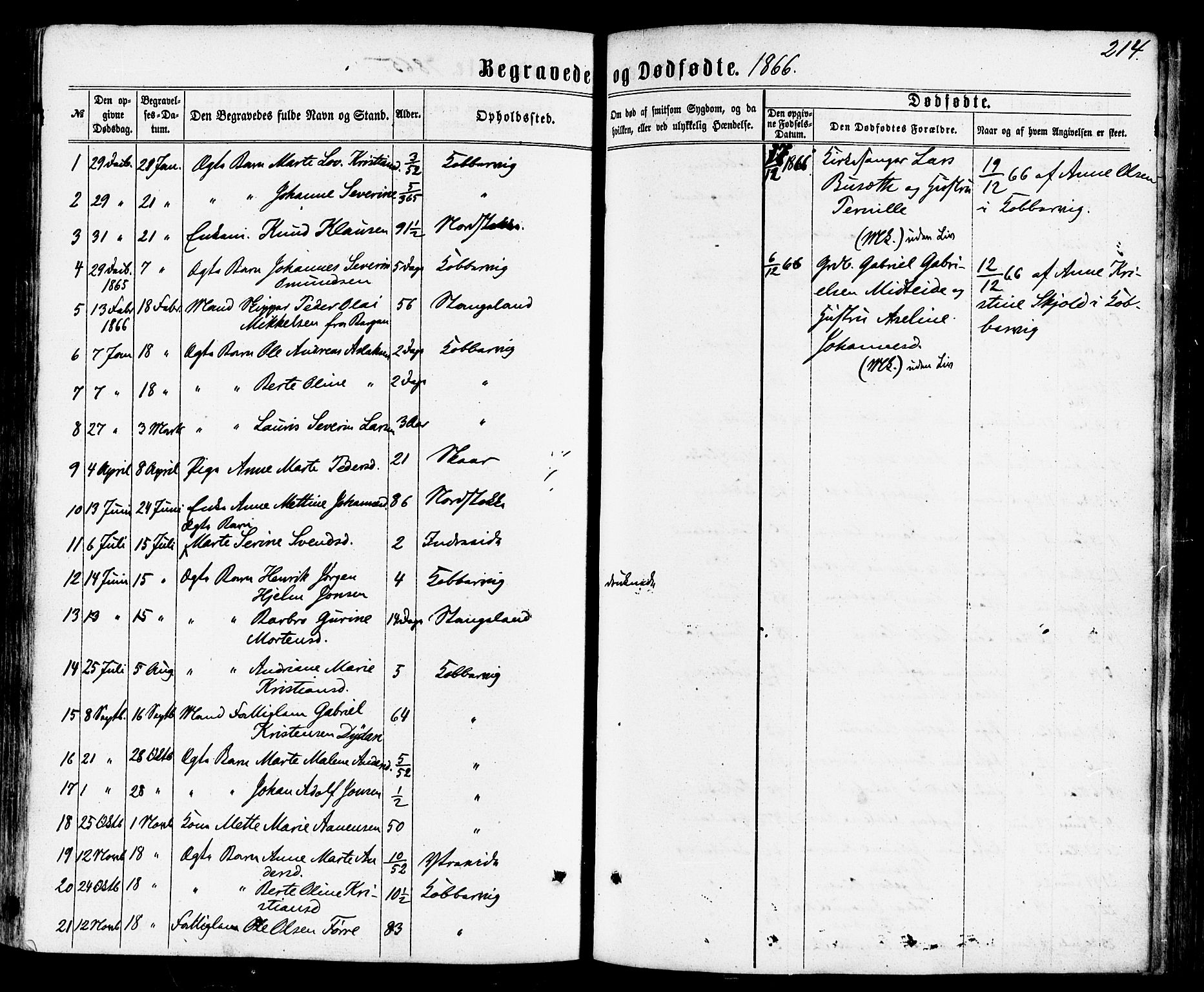 Avaldsnes sokneprestkontor, SAST/A -101851/H/Ha/Haa/L0011: Parish register (official) no. A 11, 1861-1880, p. 214