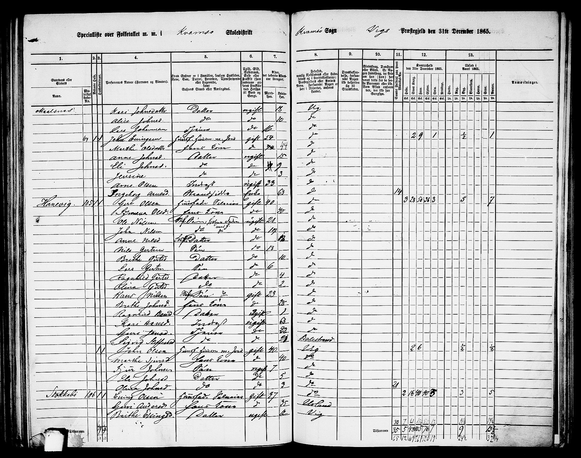 RA, 1865 census for Vik, 1865, p. 135